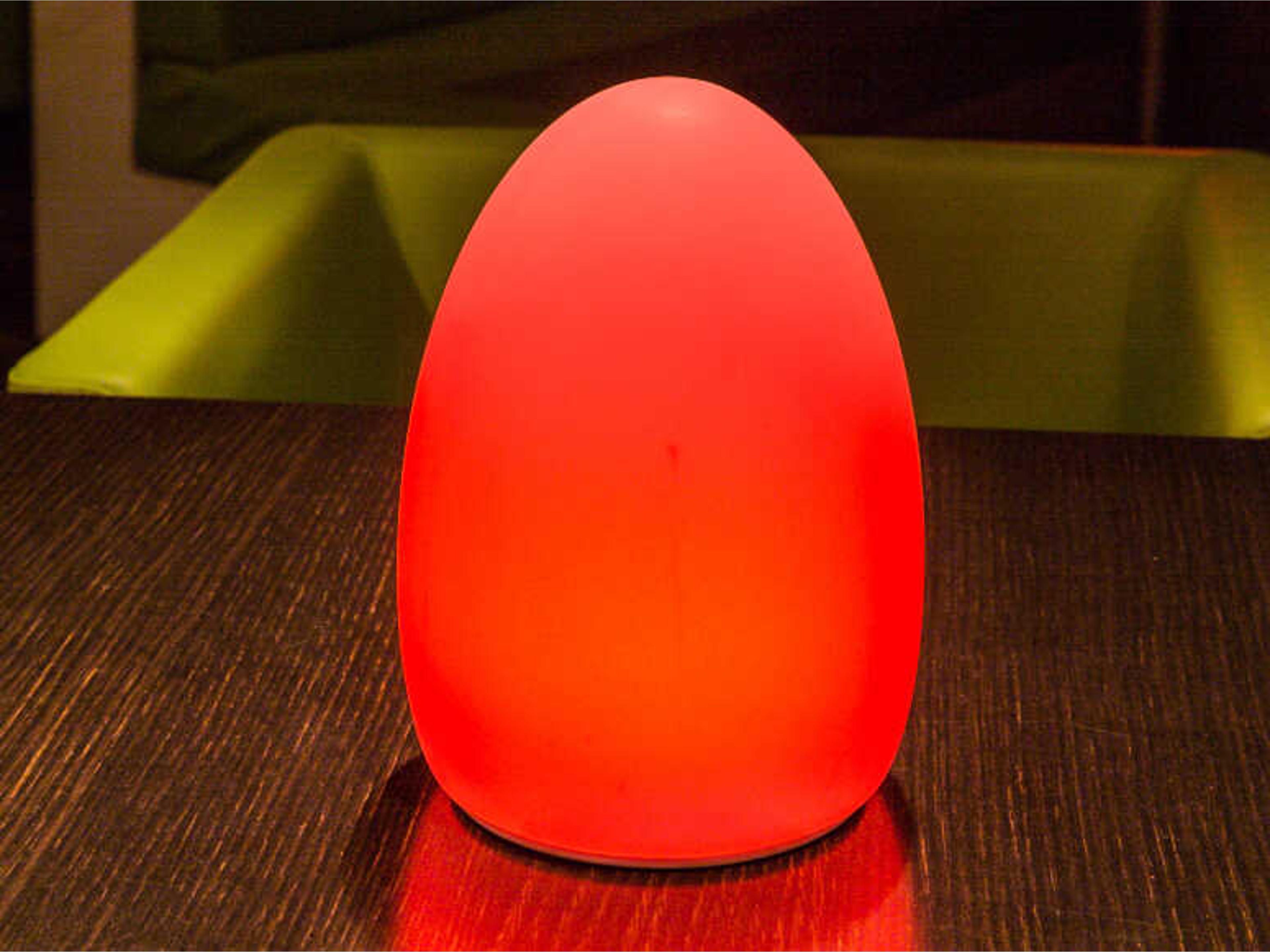 Smart & Green Egg 1 - Light Outdoor Floor Light