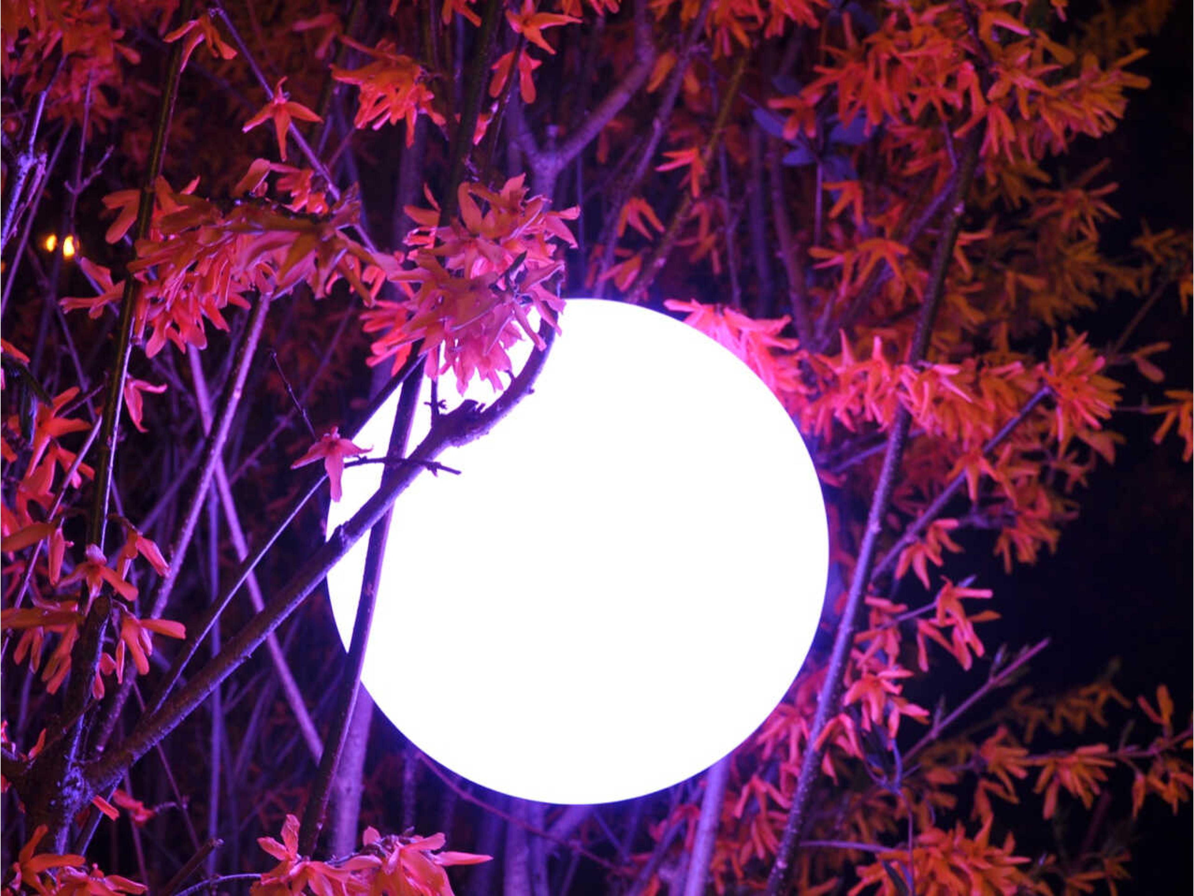 Pearl LED Ball Lamp Indoor Outdoor