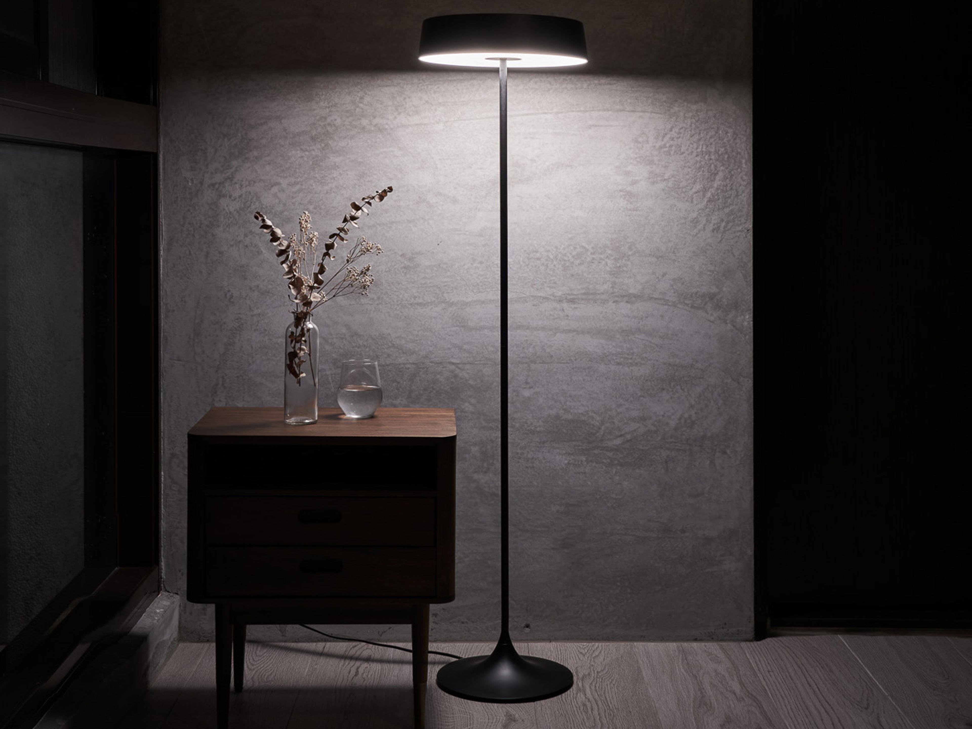 Seed Design China Led Black LED Floor Lamp
