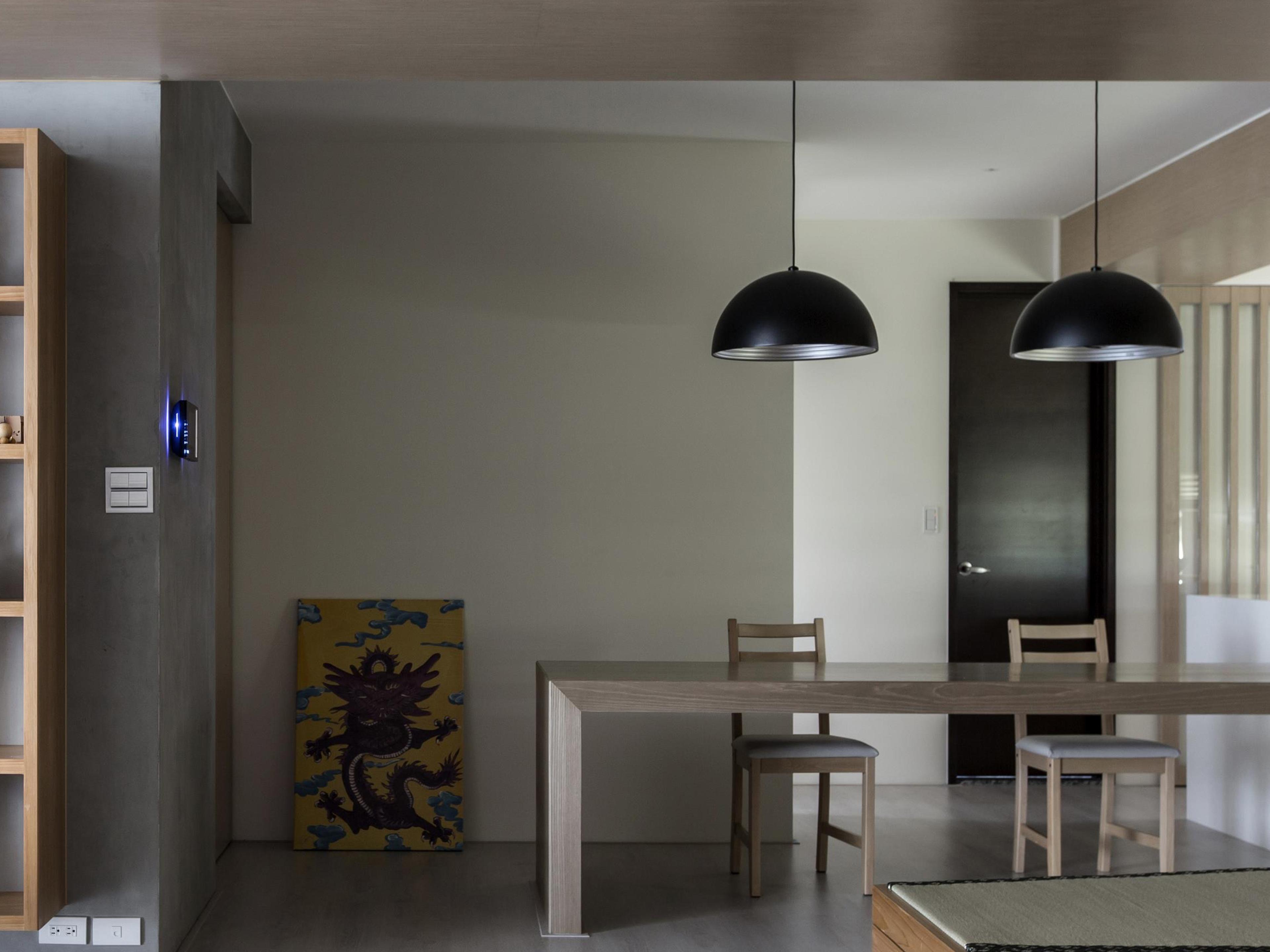 Seed Design Dome Black Pendant