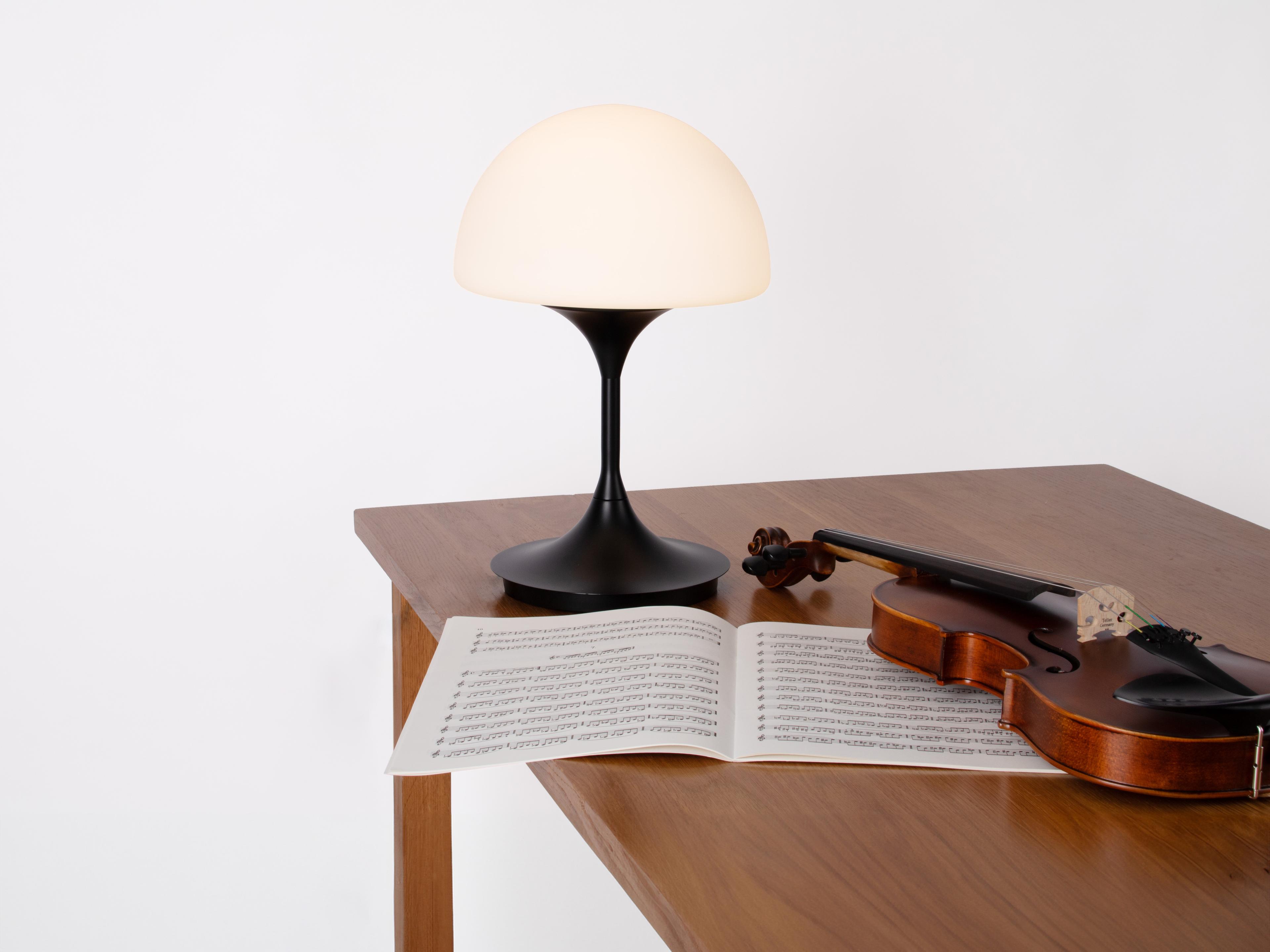 Seed Design Pensee L Matt Opal Black LED Table Lamp