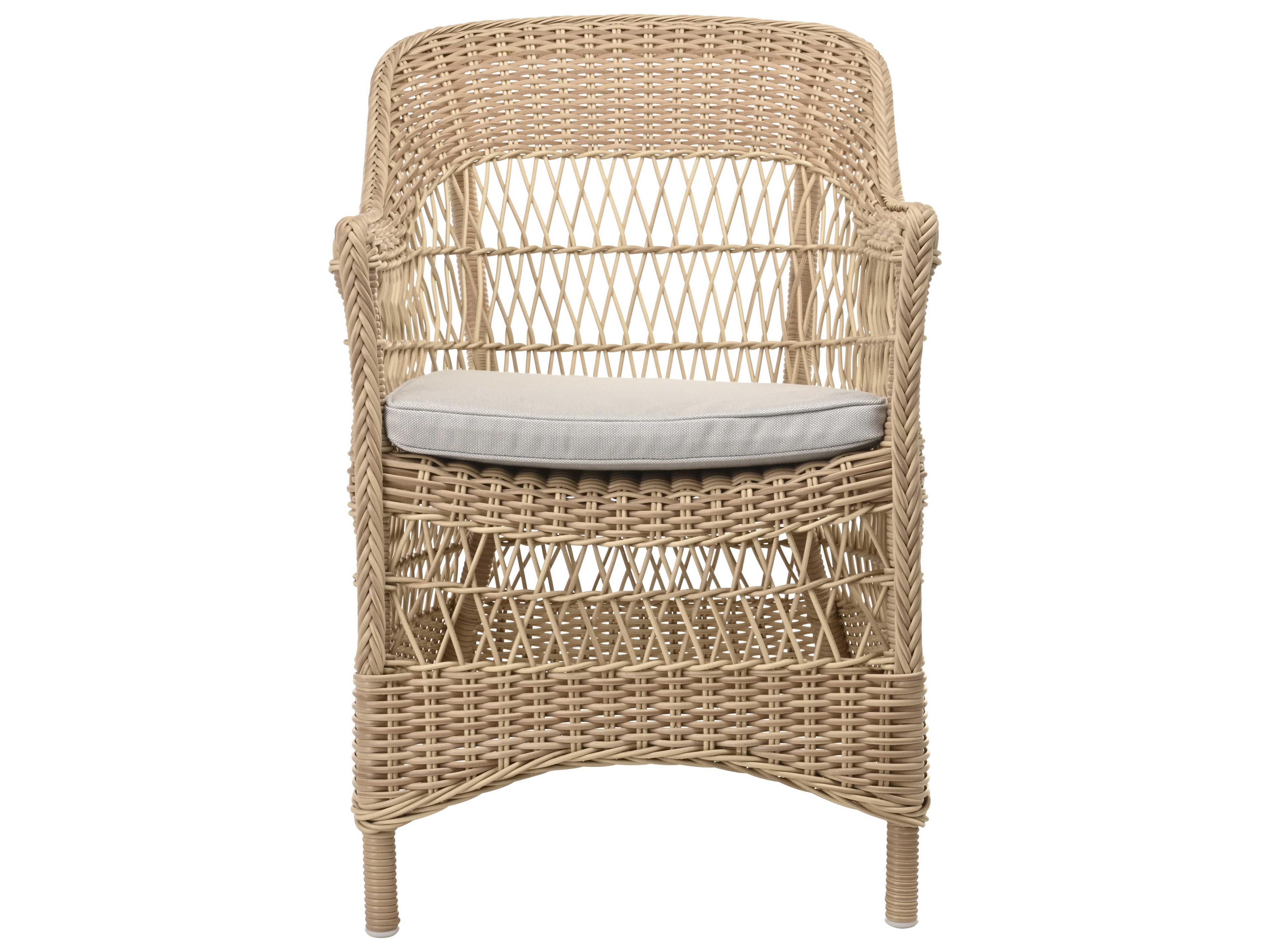 Sika Indoor Georgia Garden Charlot Gray Fabric Accent Chair with Cushion