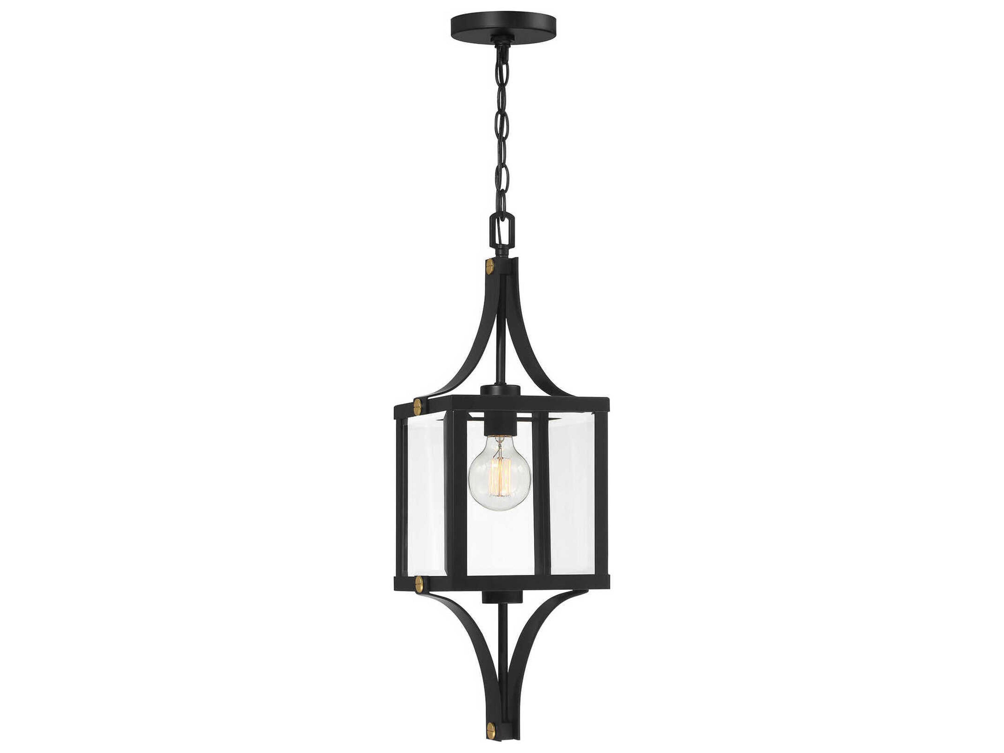 Raeburn 1-Light Outdoor Hanging Light