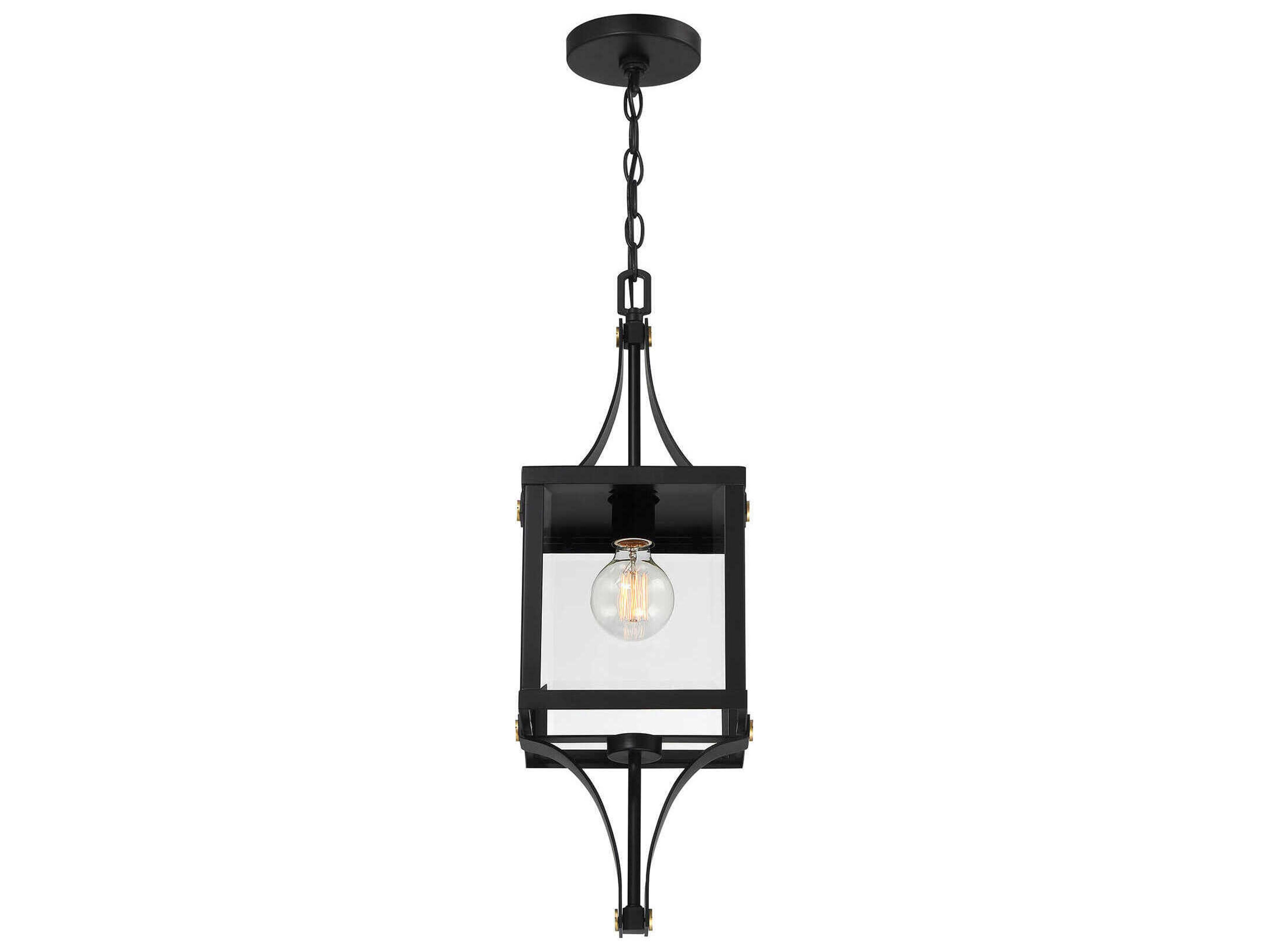 Savoy House Raeburn 1-Light Outdoor Hanging Light