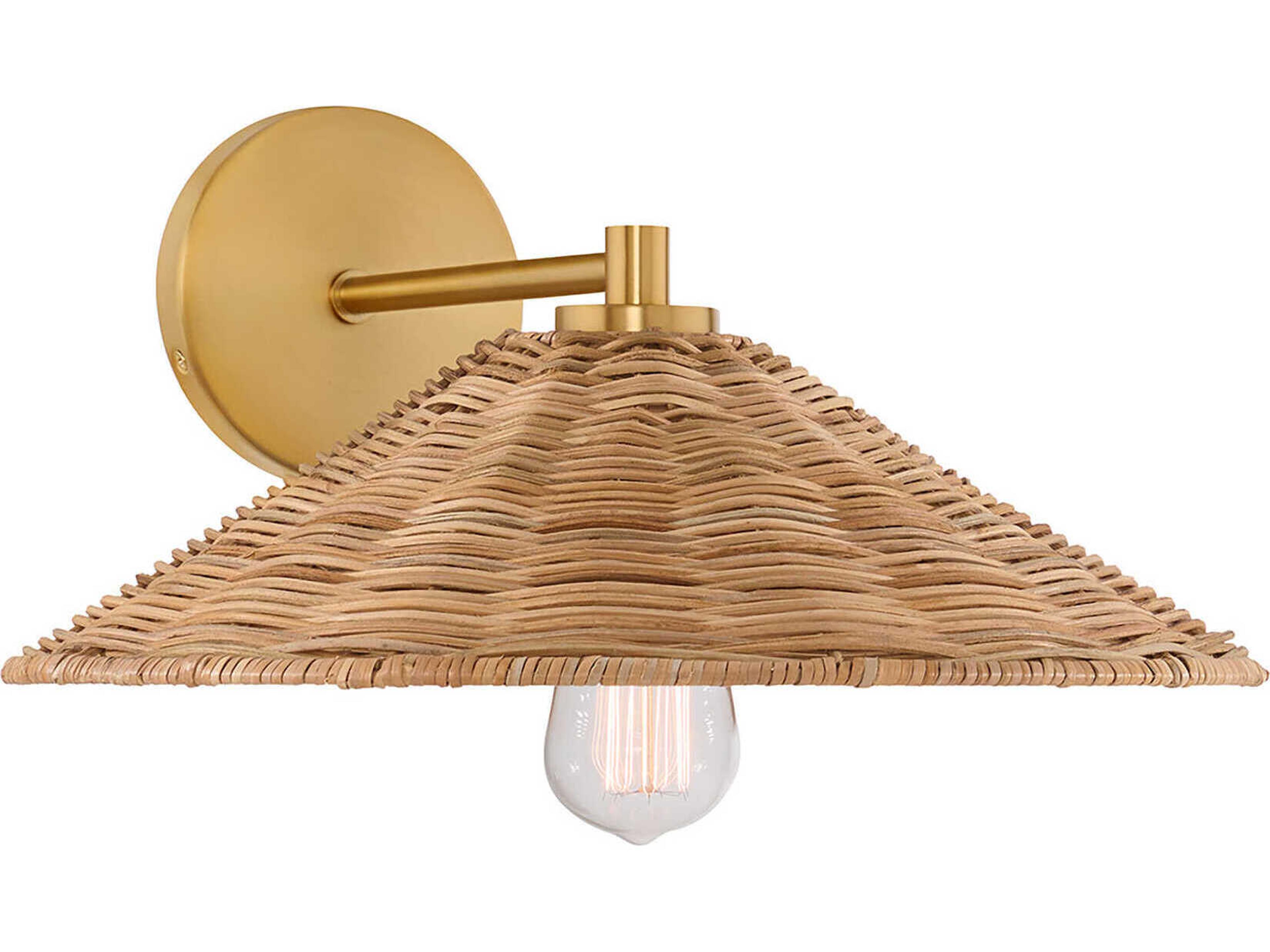 Meridian 1-Light Natural Brass Brown Wall Sconce