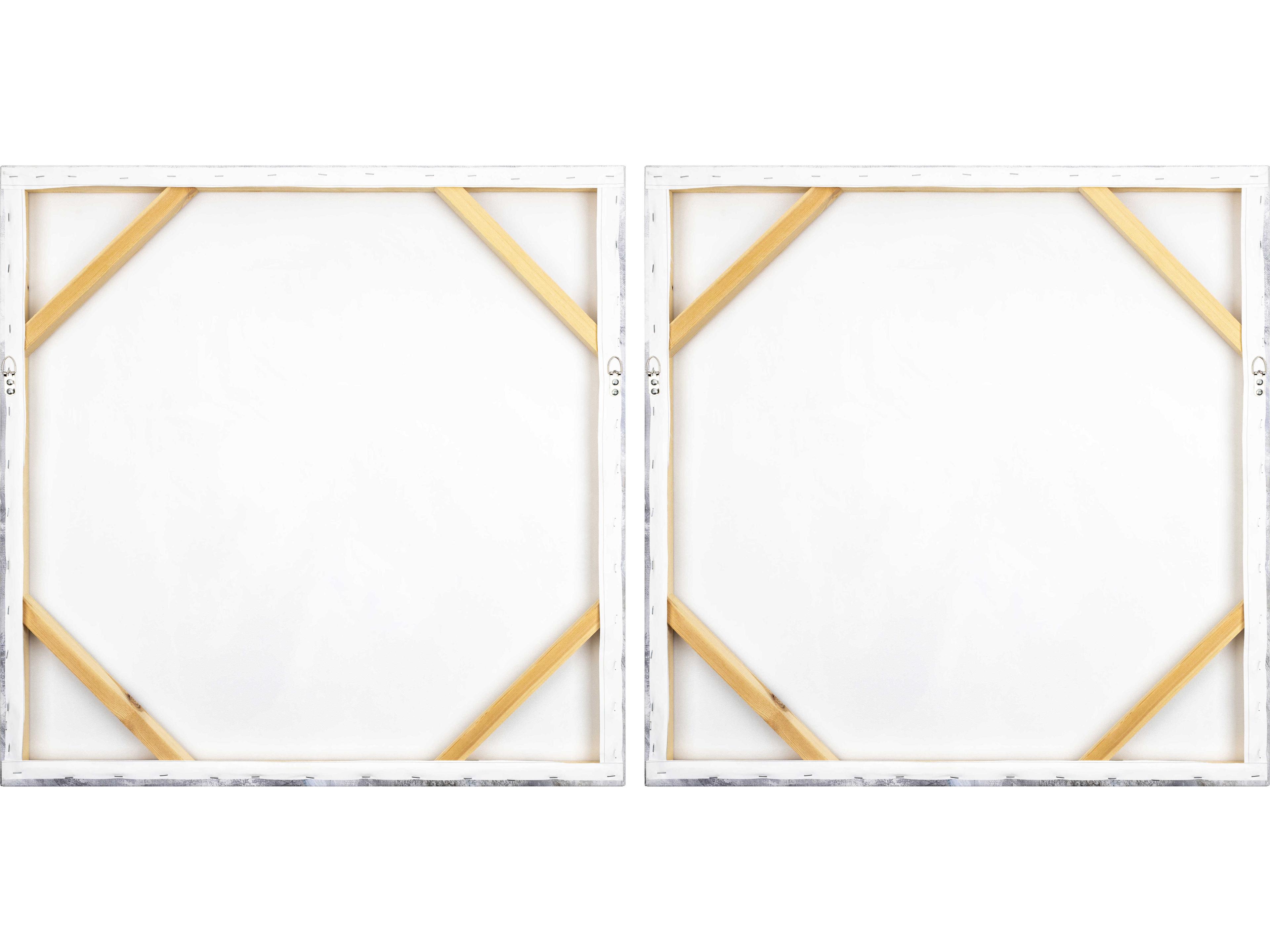 Surya Assateague Framed Art