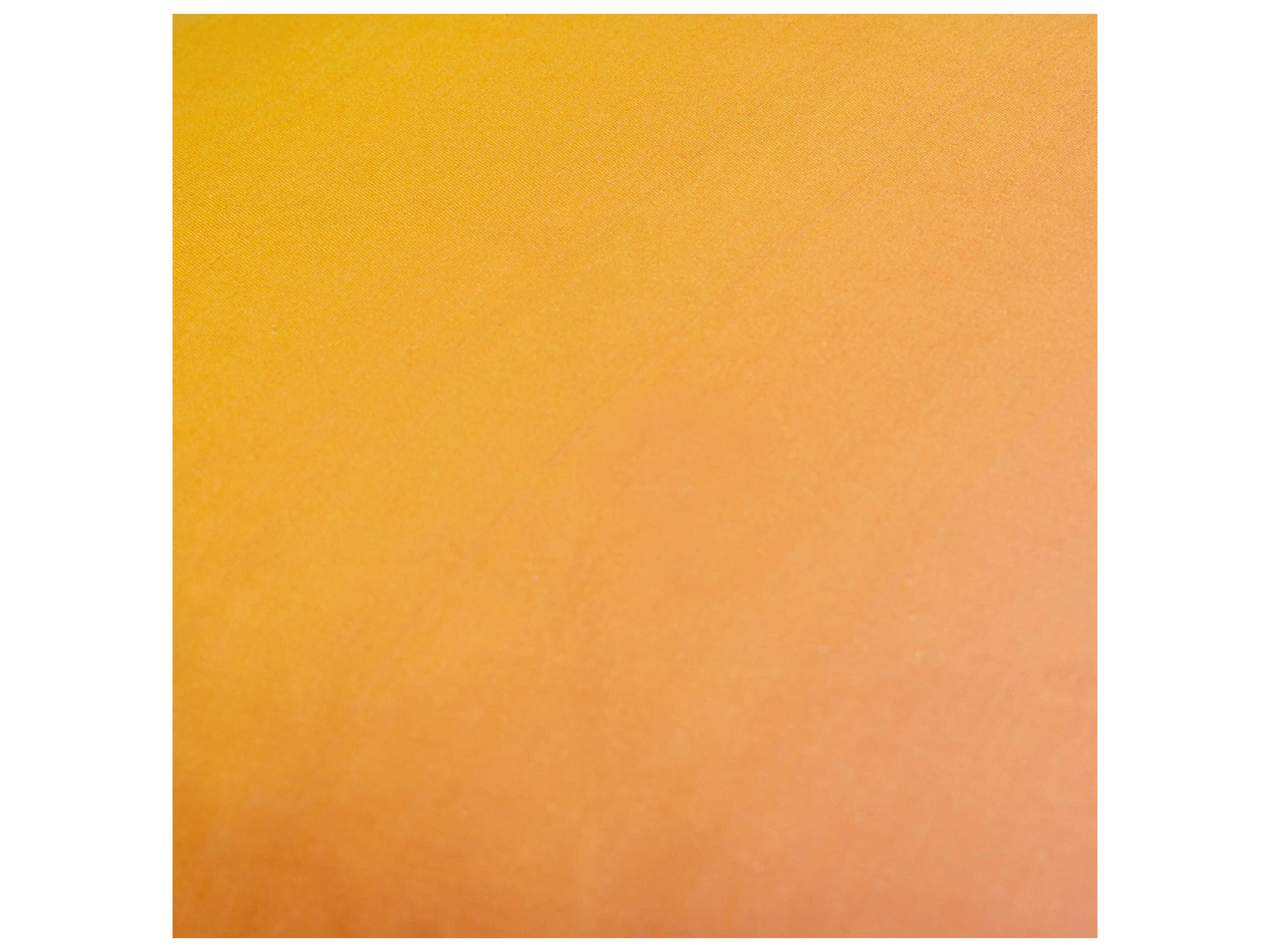 Surya Hyrum Burnt Orange Pillow