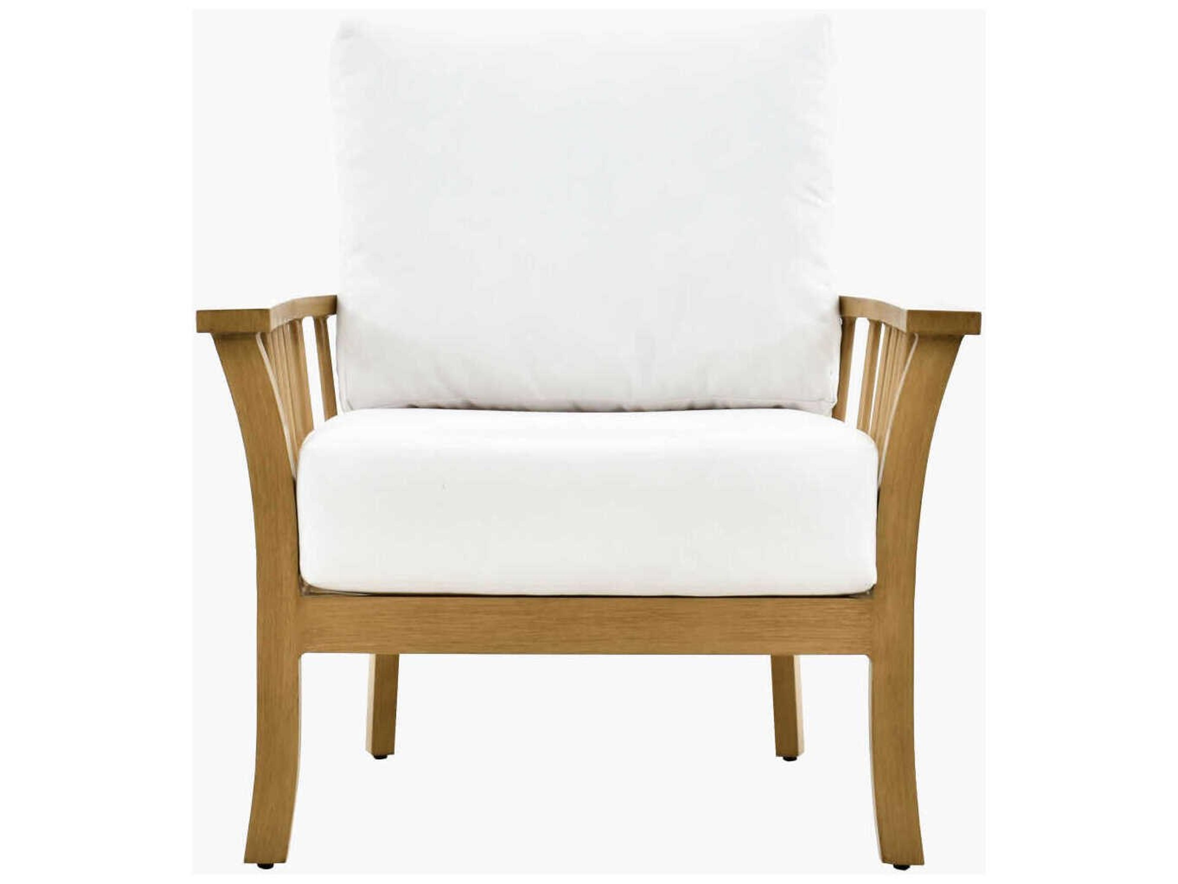 Surya Outdoor Cape Town Hand Painted Wheat Aluminum Cushion Lounge Chair