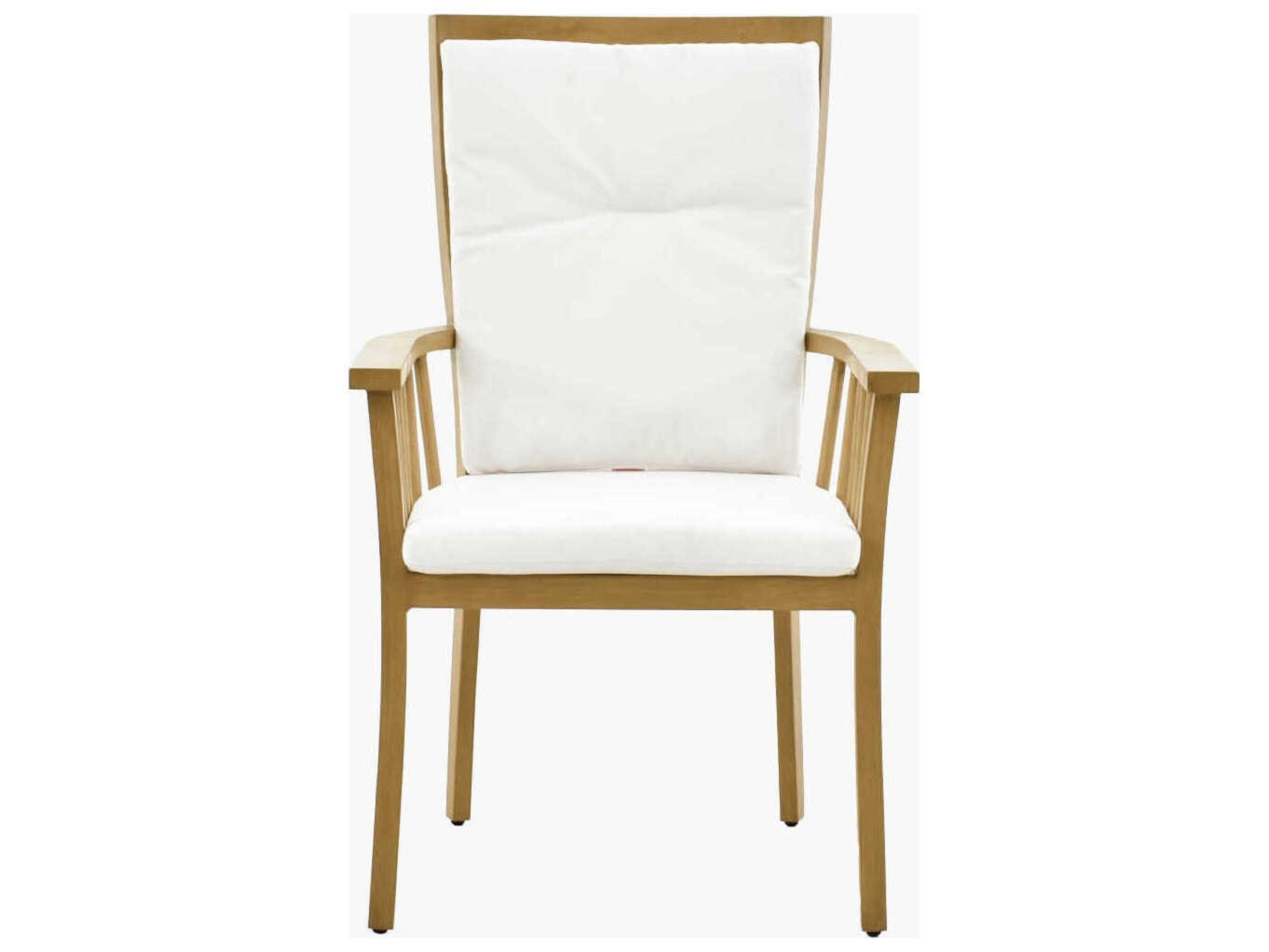 Surya Outdoor Cape Town Hand Painted Wheat Aluminum Cushion Dining Chair