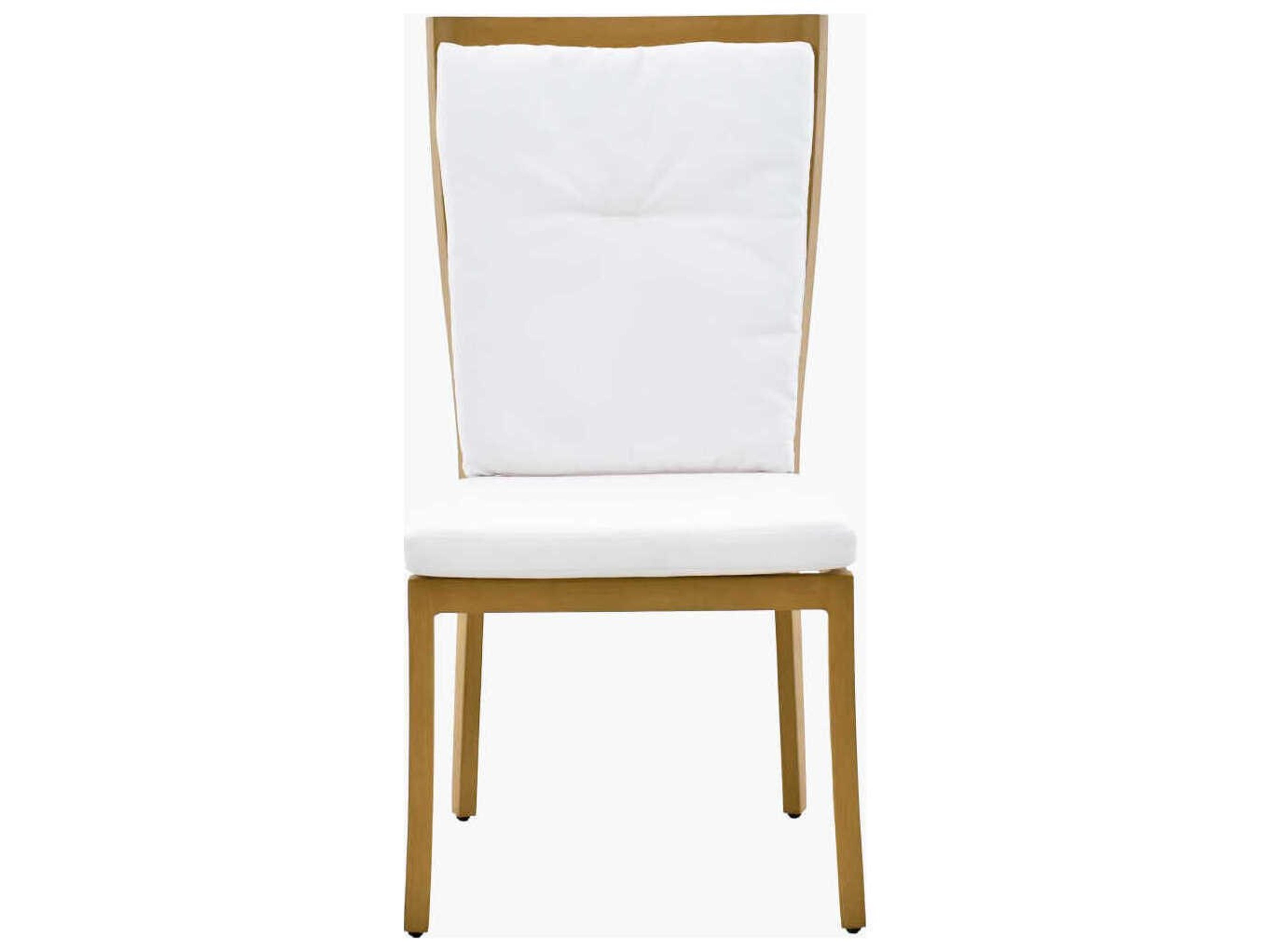 Surya Outdoor Cape Town Hand Painted Wheat Aluminum Cushion Dining Chair