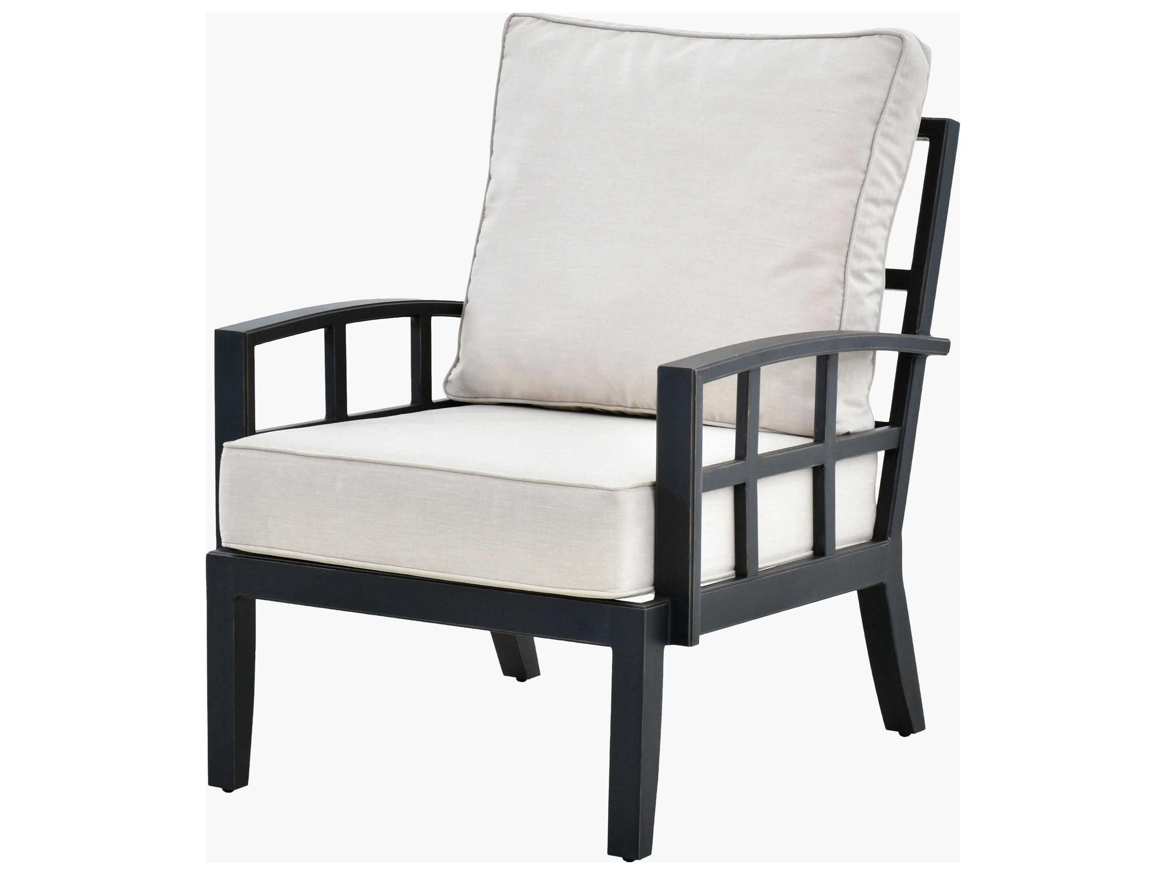 Fairborn Hand Painted Black Aluminum Cushion Lounge Chair