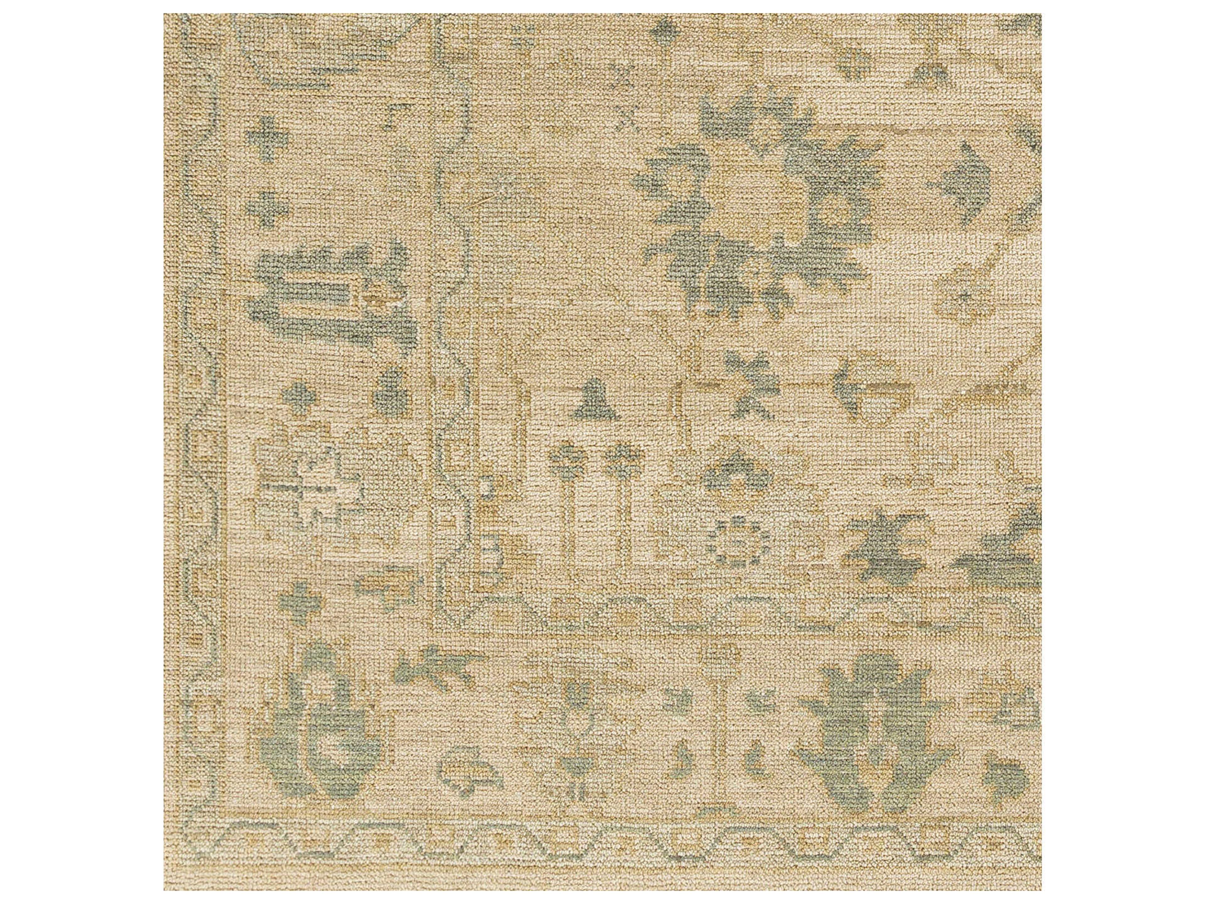 Surya Reign Bordered Area Rug