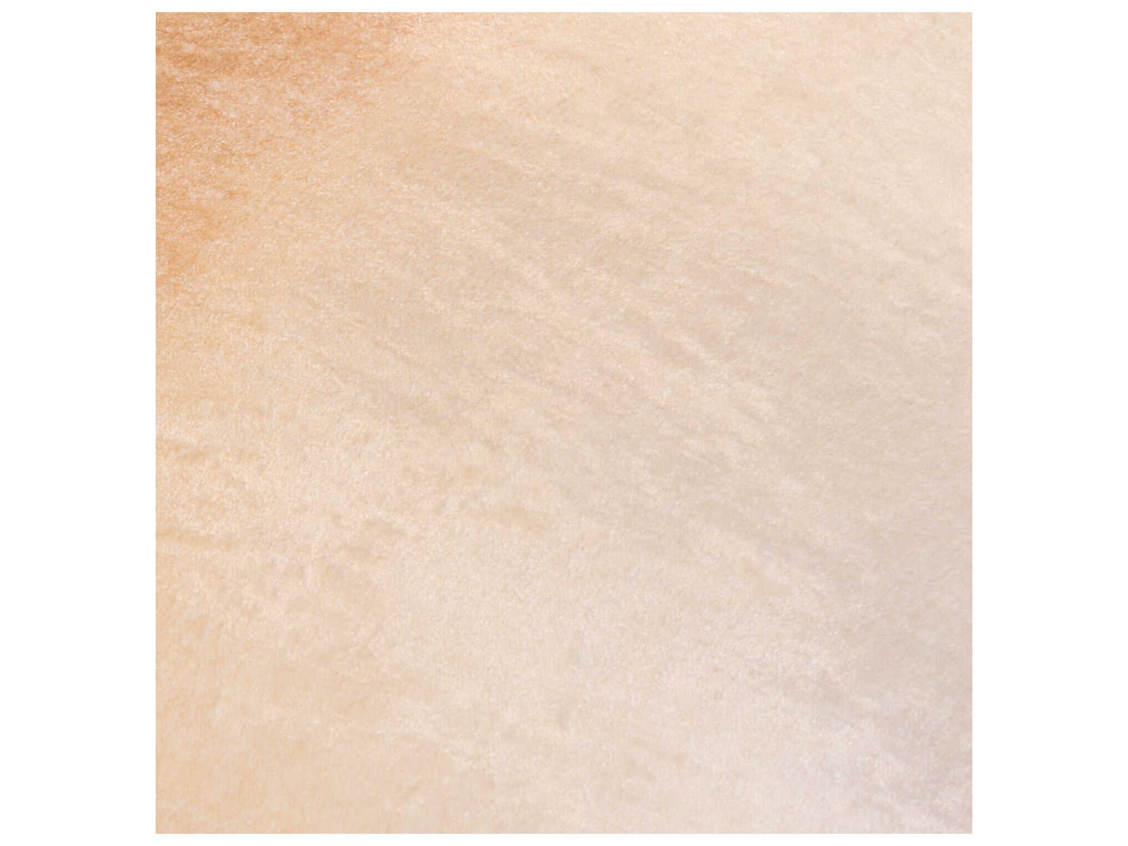 Surya Theodosia Burnt Sienna Pillow