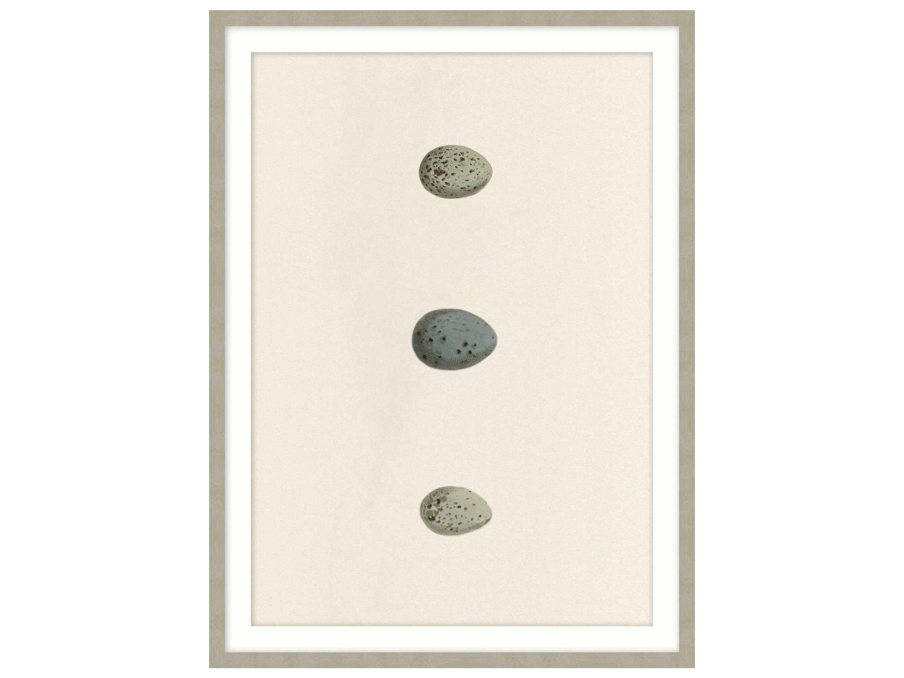 Art By Ta Unhatched-6 Wall Art