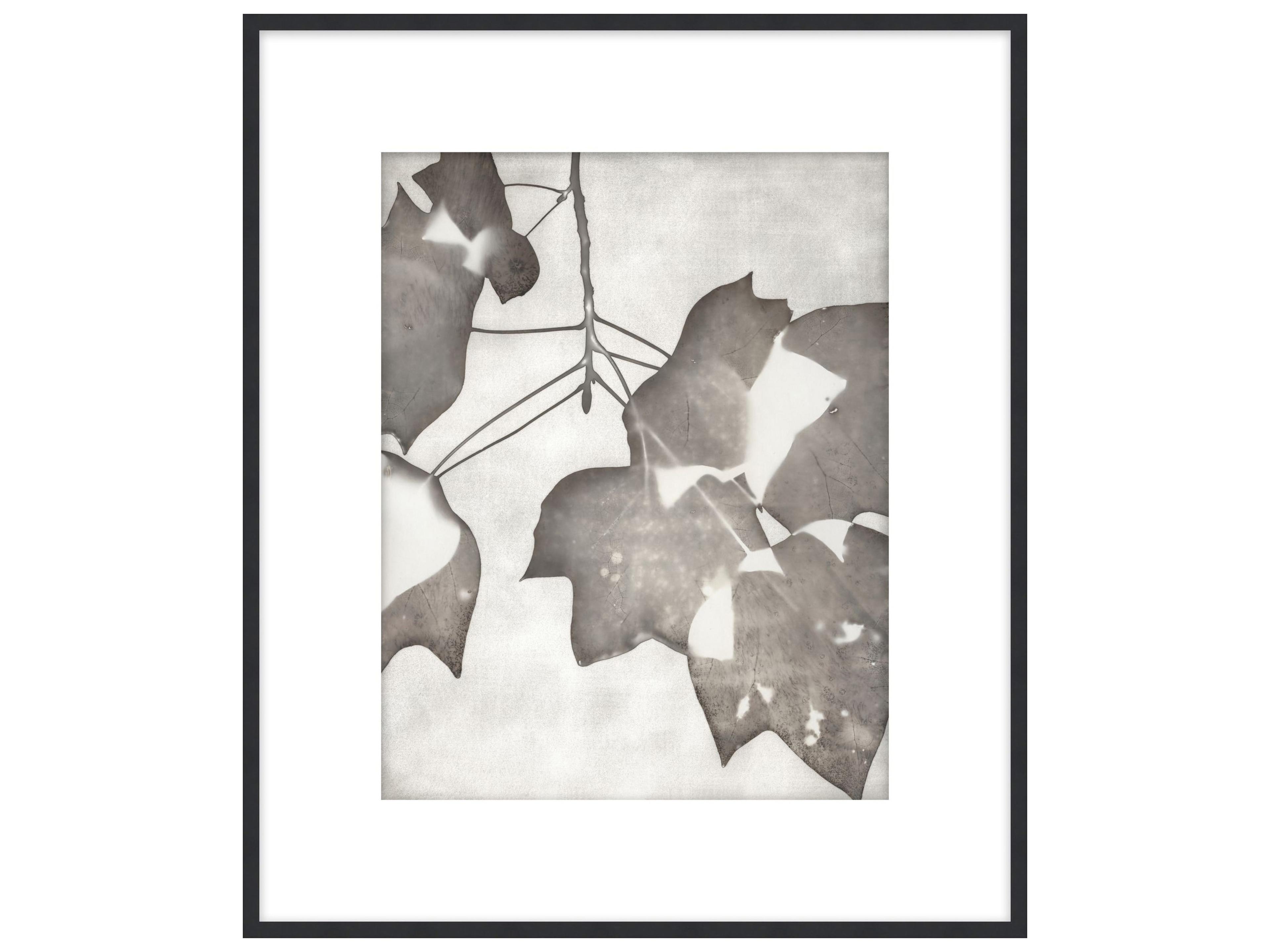 Theodore Alexander Art By Ta