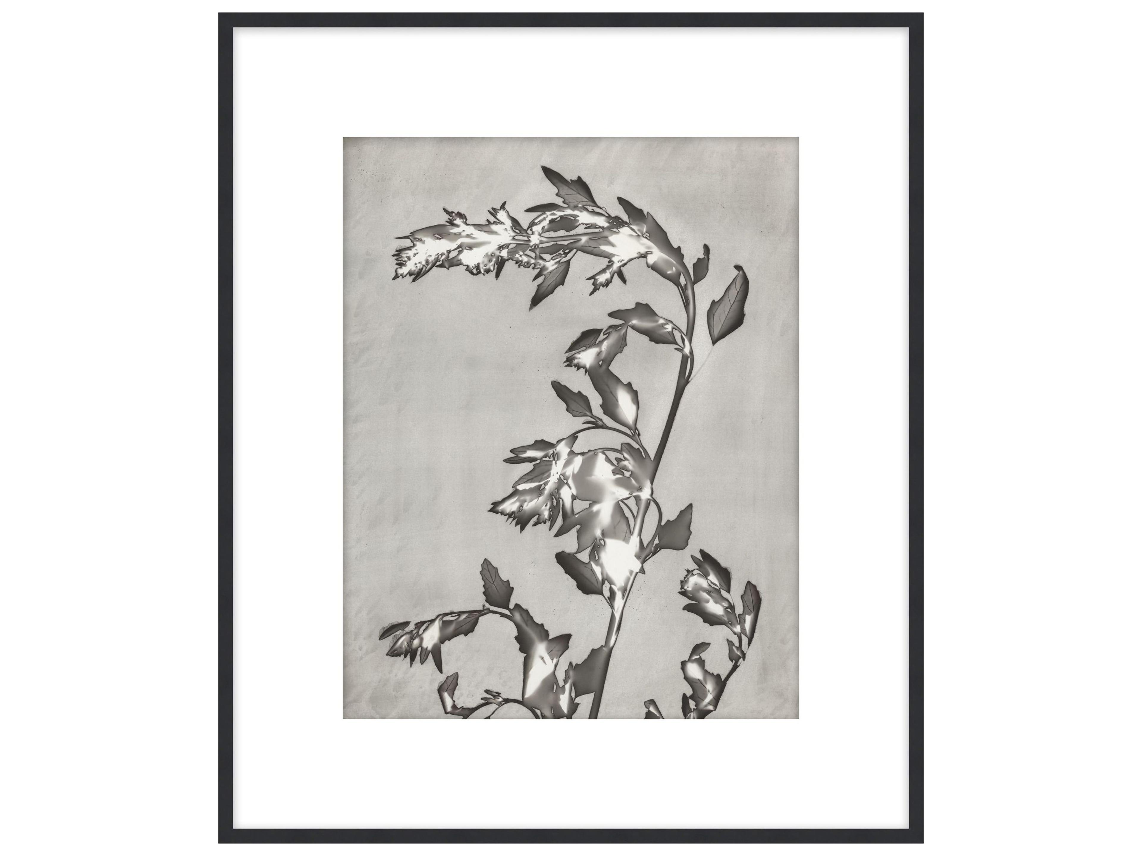 Theodore Alexander Art By Ta