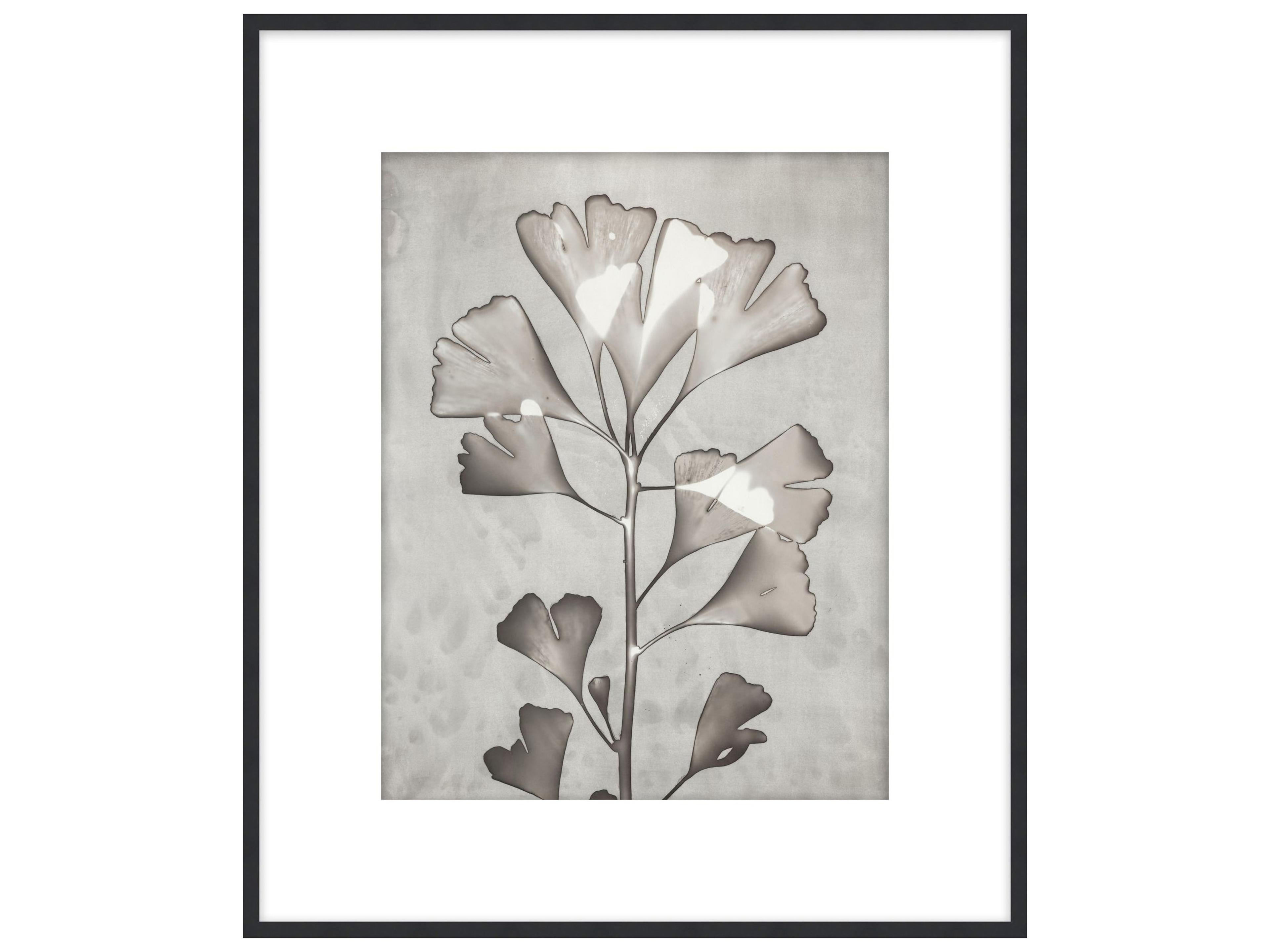 Theodore Alexander Art By Ta