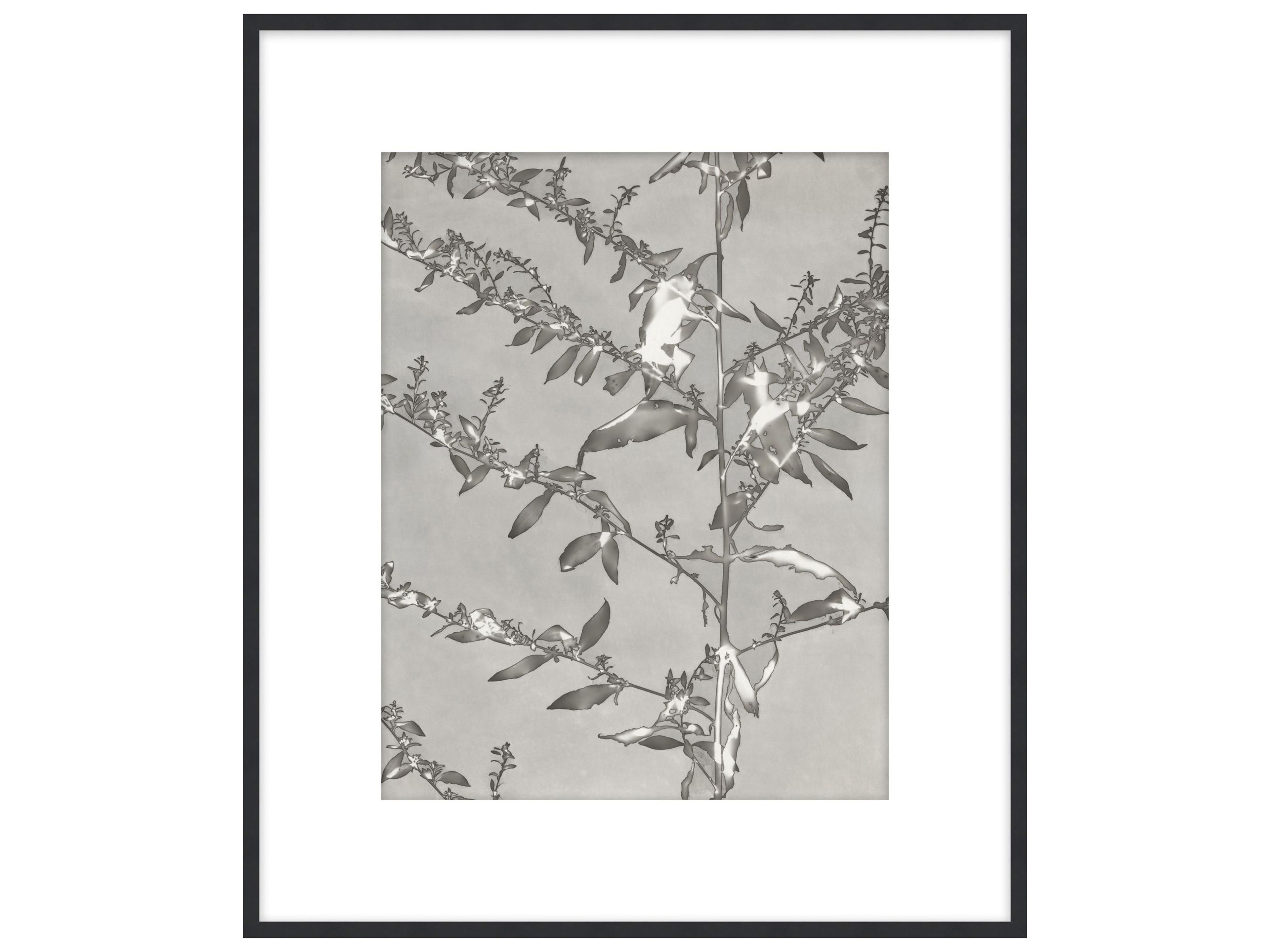 Theodore Alexander Art By Ta