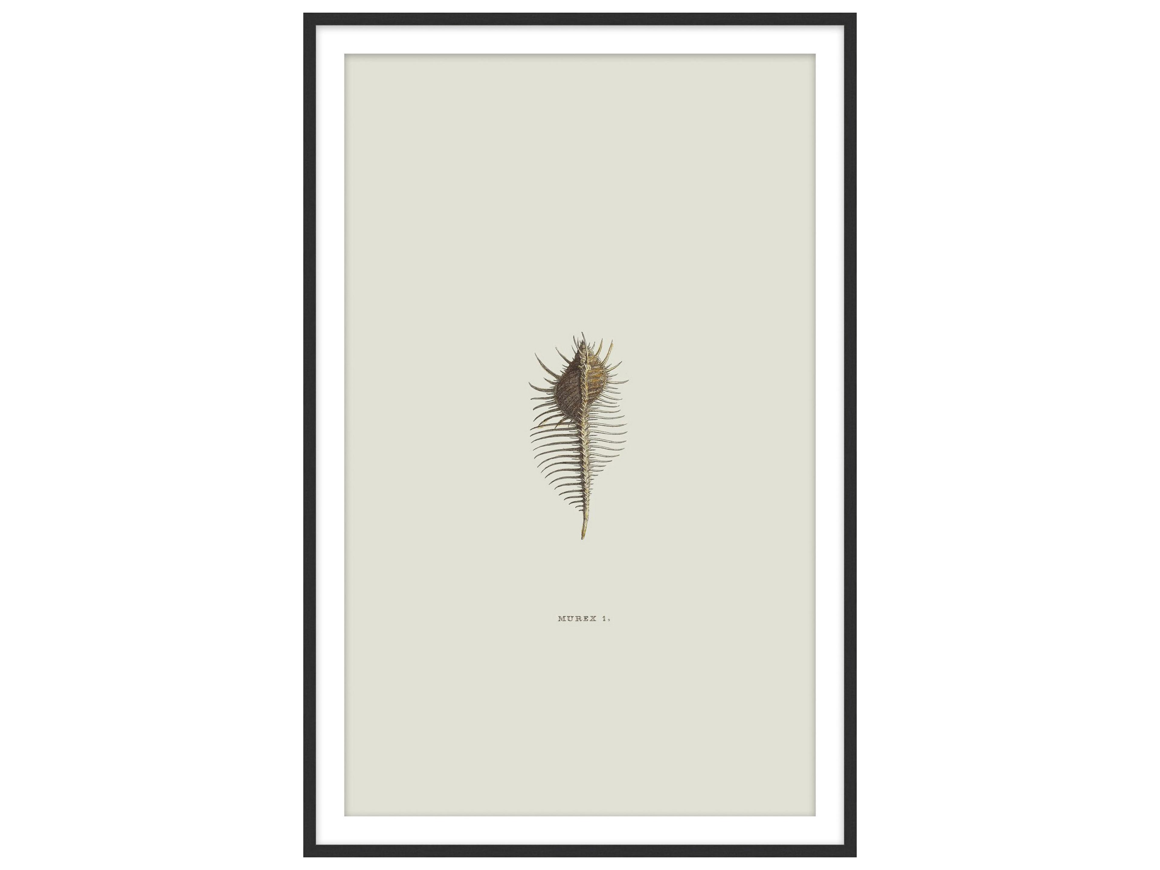 Theodore Alexander Art By Ta