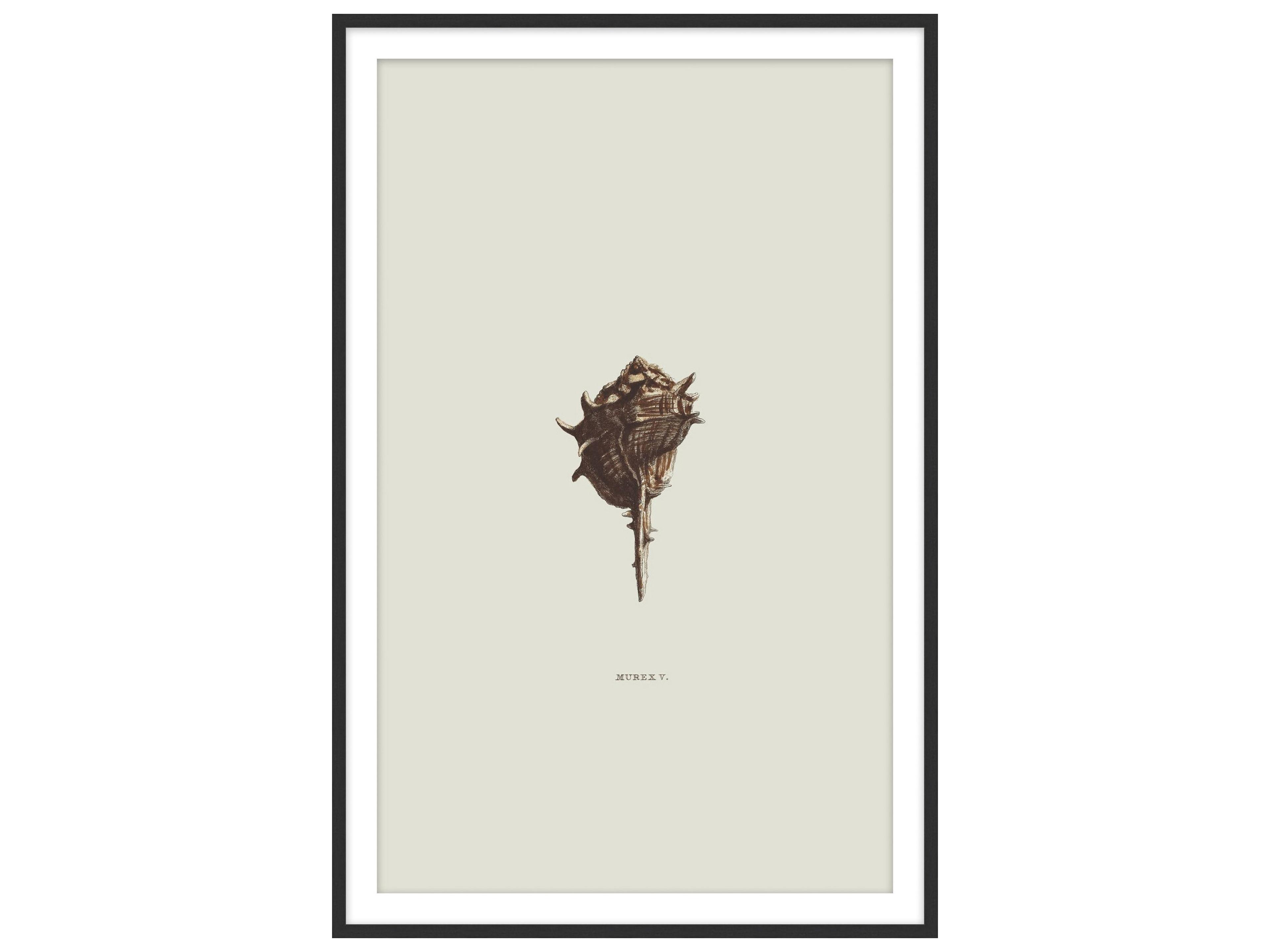 Theodore Alexander Art By Ta