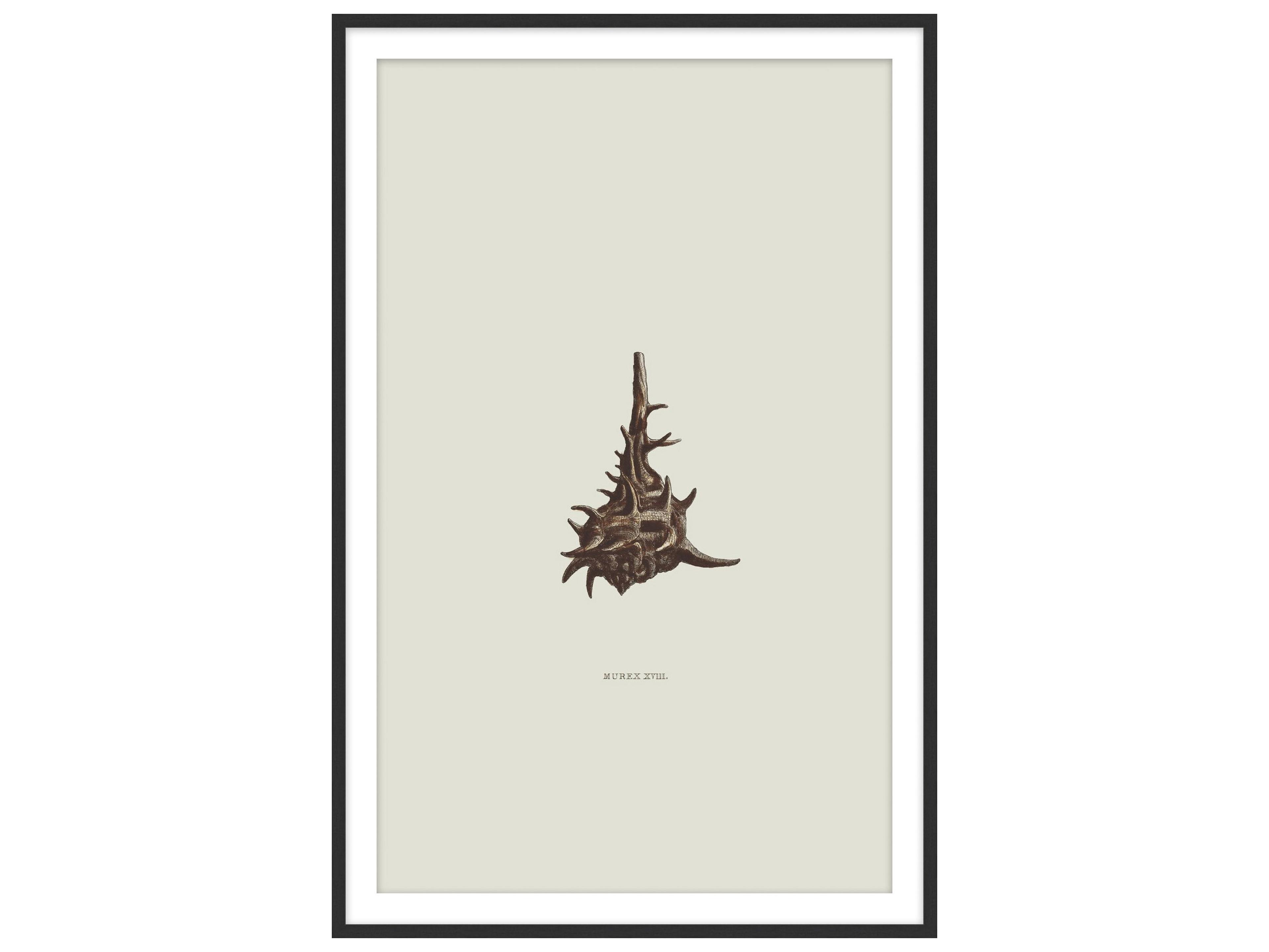 Theodore Alexander Art By Ta