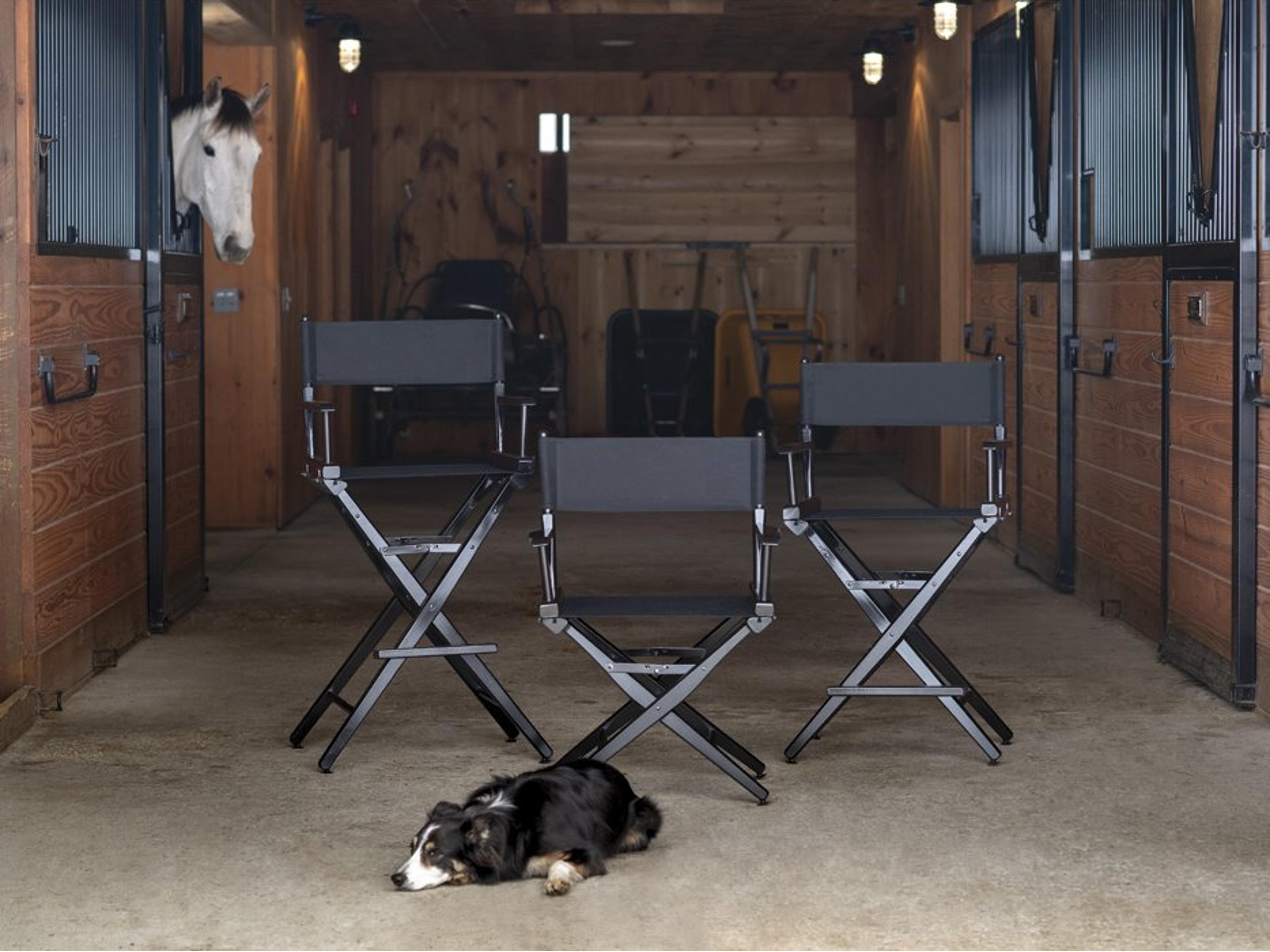 Director Chairs Wood Sling Chair Set