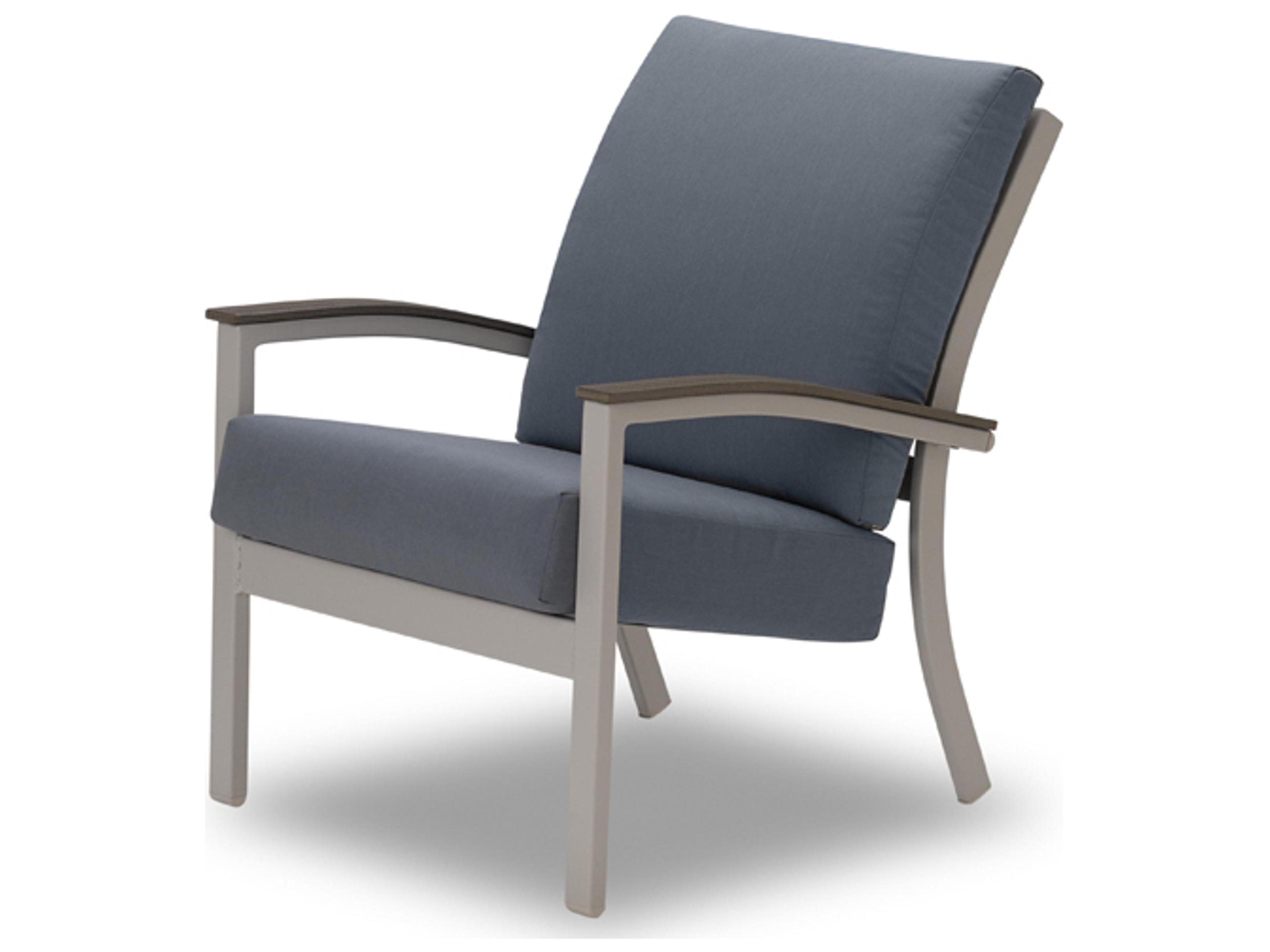 Bazza Cushion Aluminum Lounge Chair with Polymer Arms