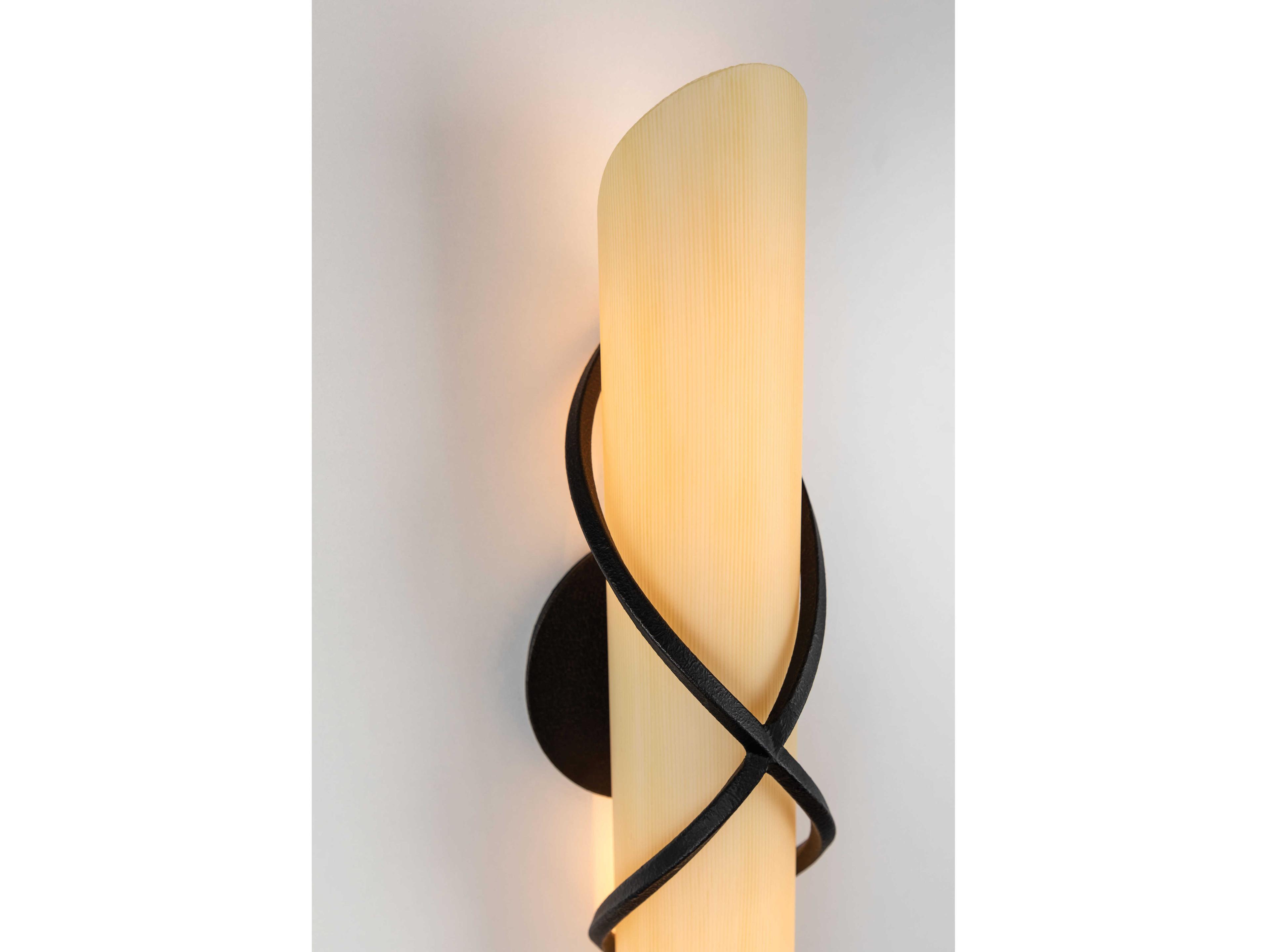 Troy Lighting Roxbury 2-Light French Iron Black Glass Wall Sconce