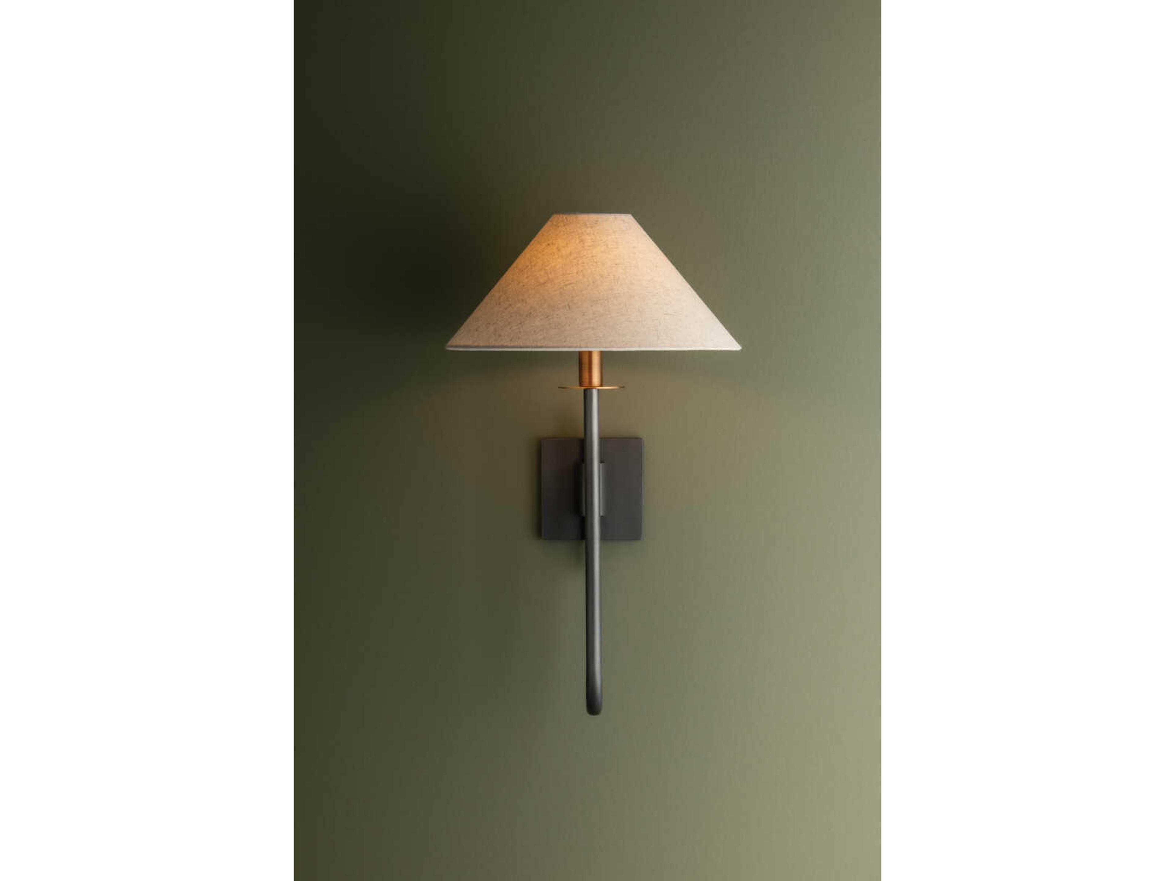 Troy Lighting Mateo 1-Light Patina Brass Graphite Wall Sconce