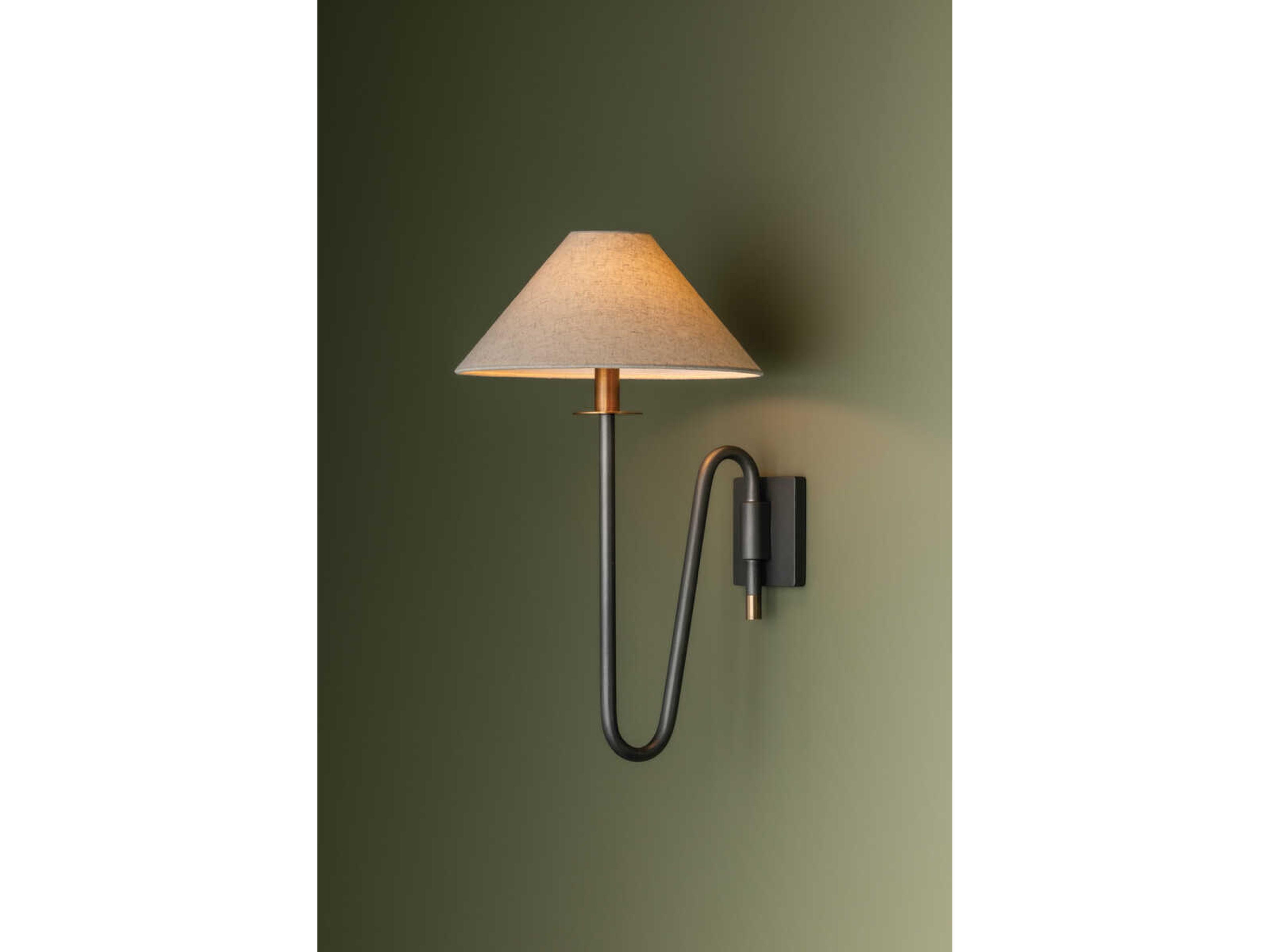Troy Lighting Mateo 1-Light Patina Brass Graphite Wall Sconce