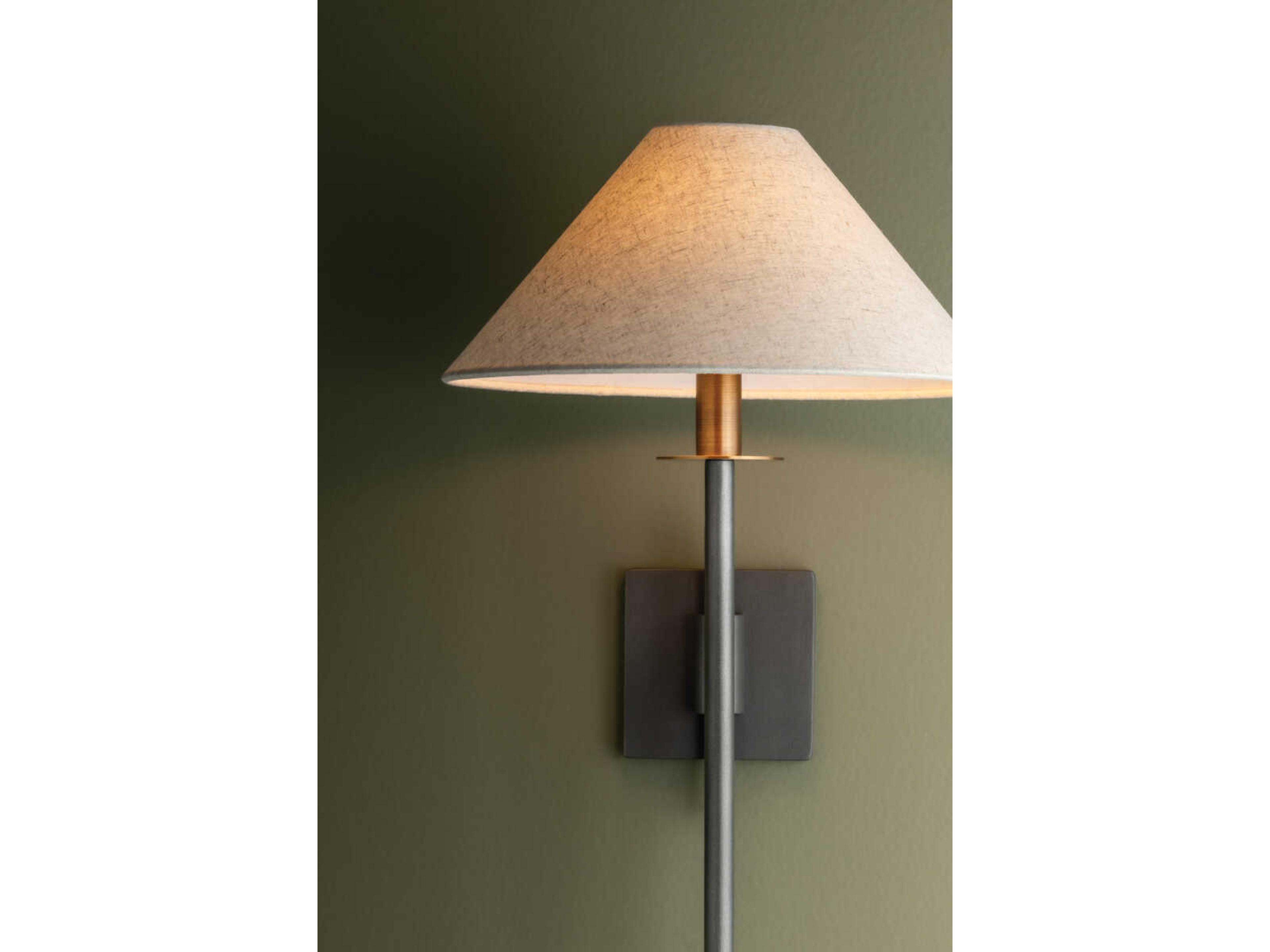 Troy Lighting Mateo 1-Light Patina Brass Graphite Wall Sconce