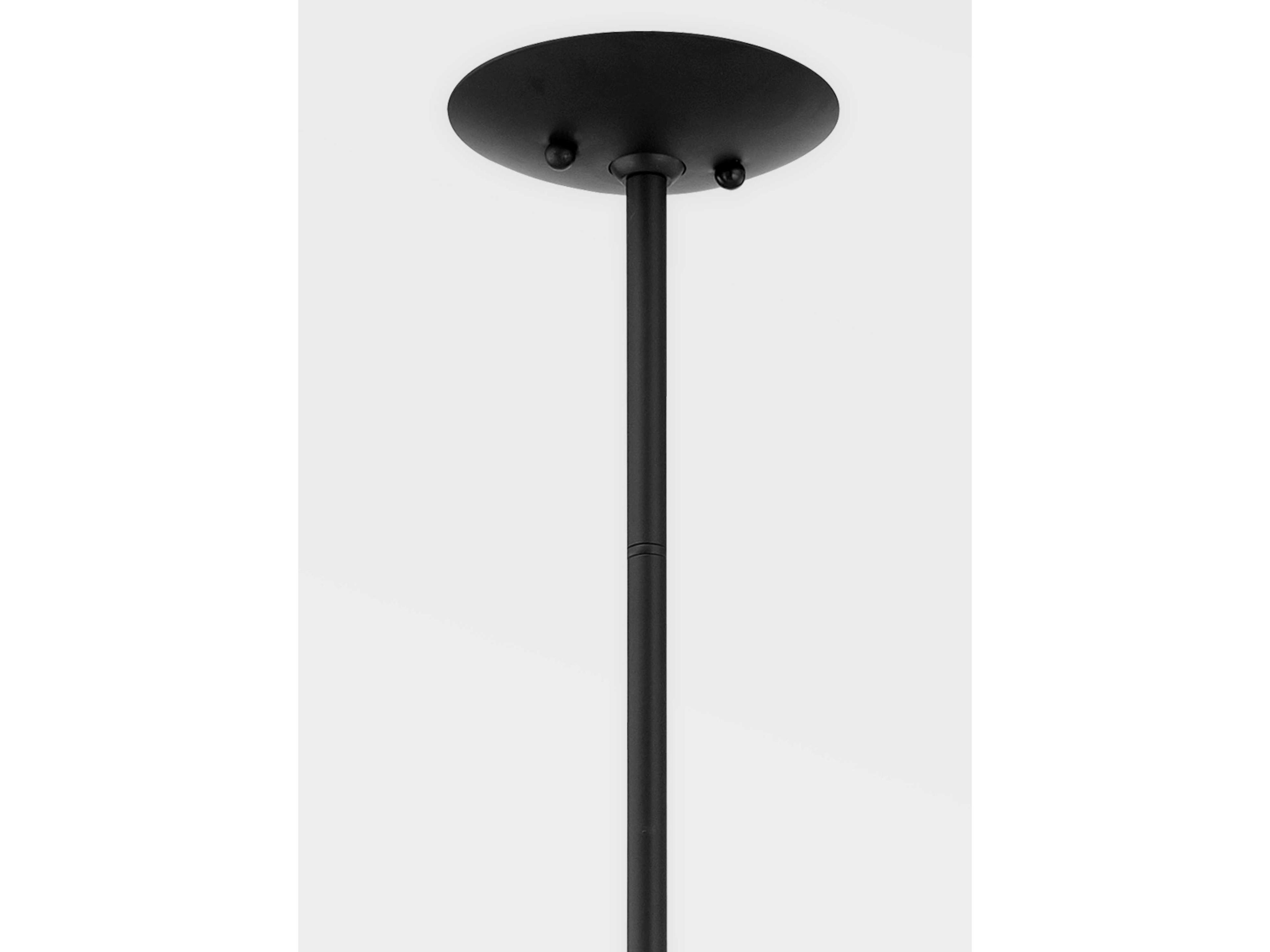 Troy Lighting Colt 12-Light Soft Black Sputnik Chandelier