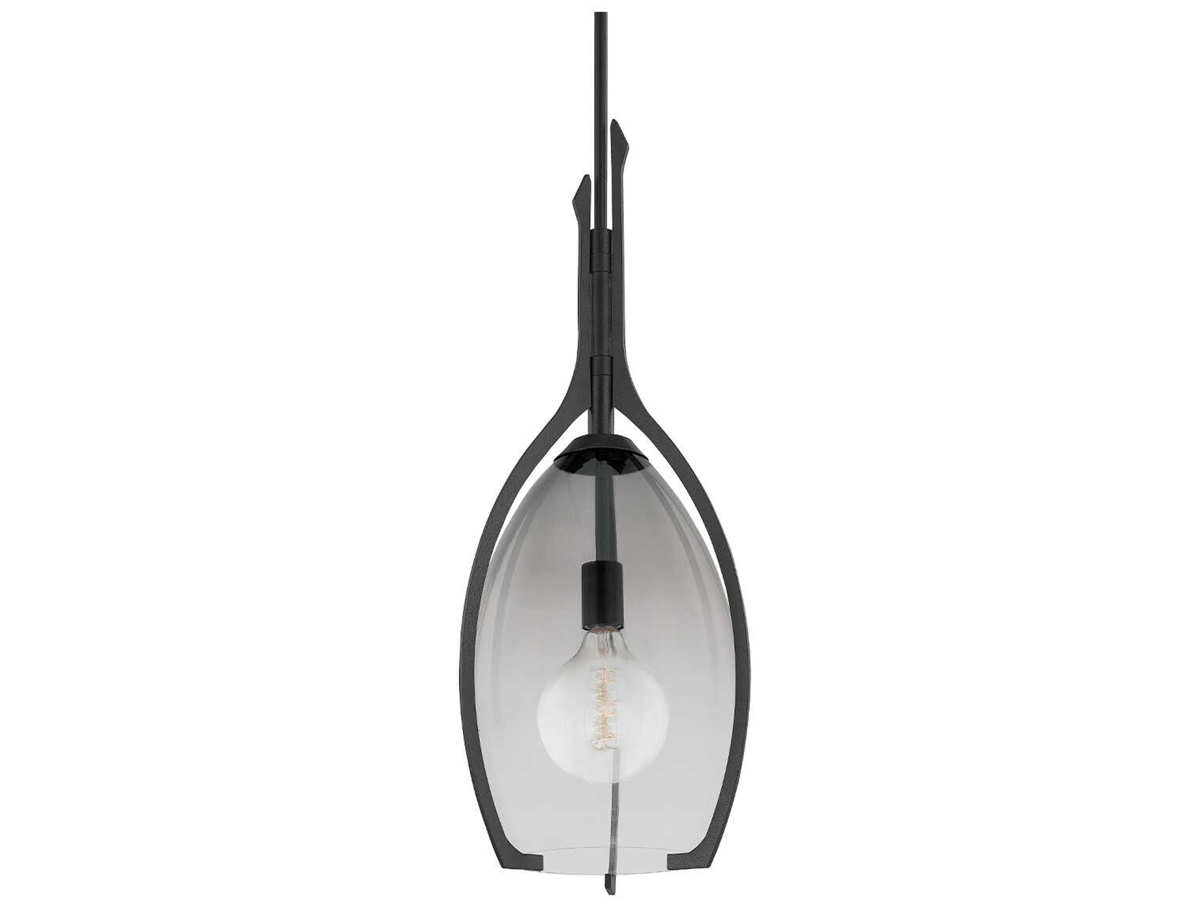 Pacifica 1-Light Forged Iron Black Glass Pendant