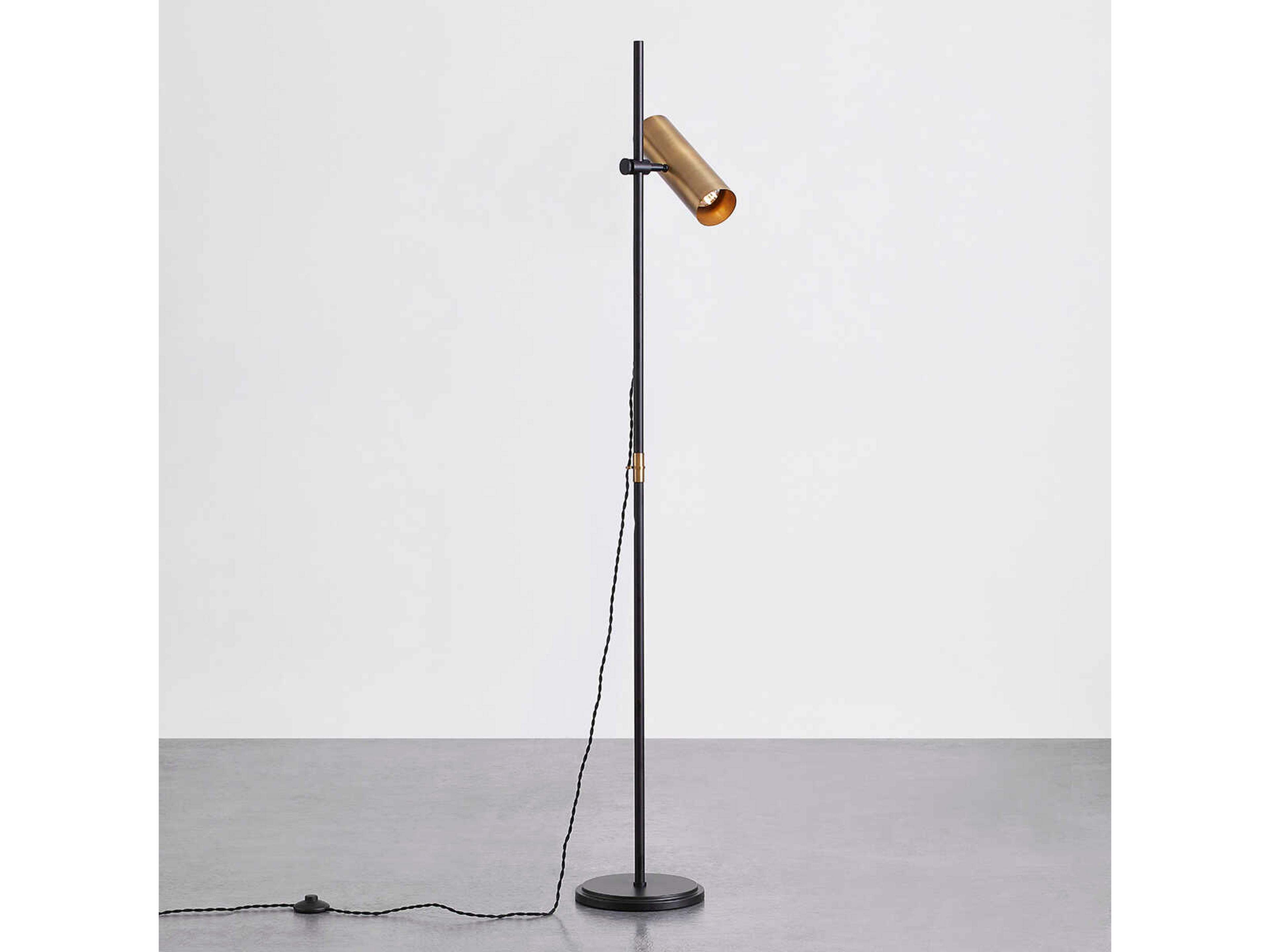 Troy Lighting Quinn Patina Brass Steel Black Floor Lamp