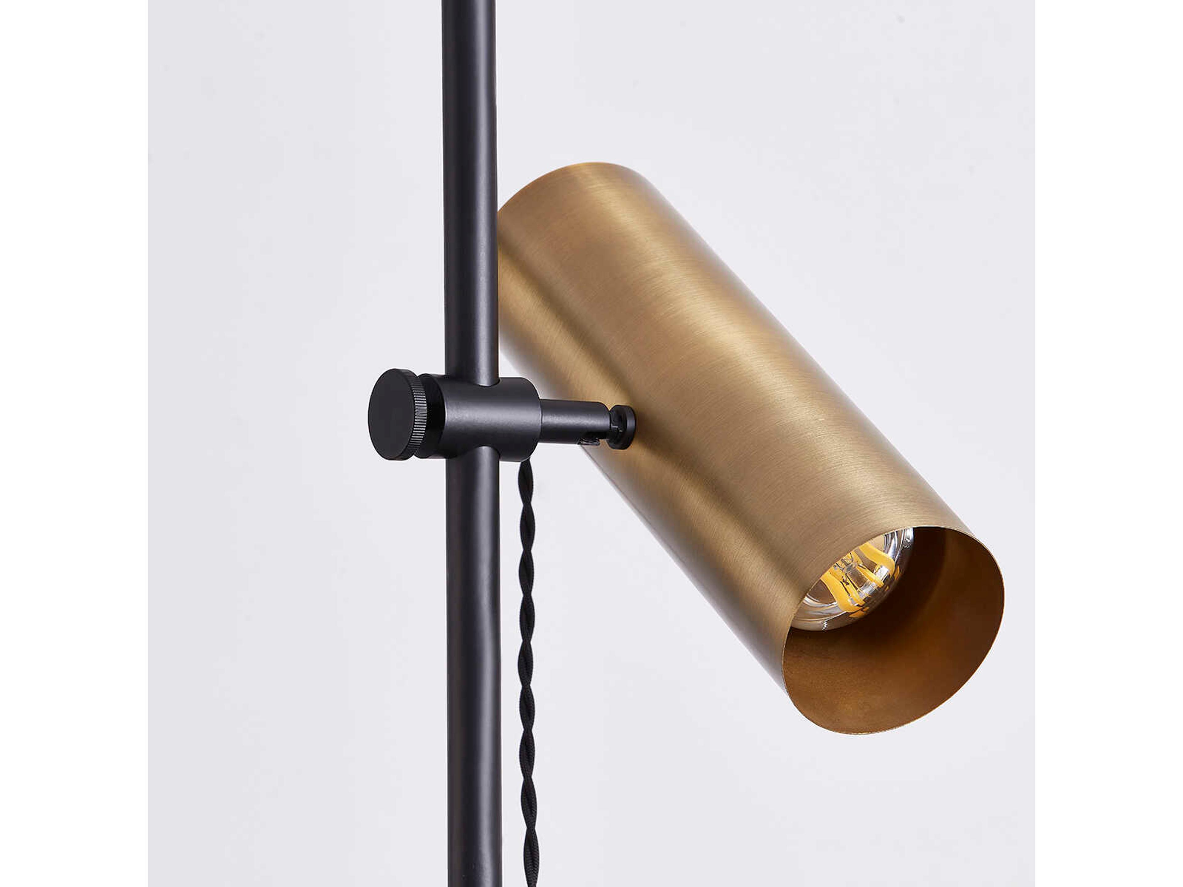 Troy Lighting Quinn Patina Brass Steel Black Floor Lamp