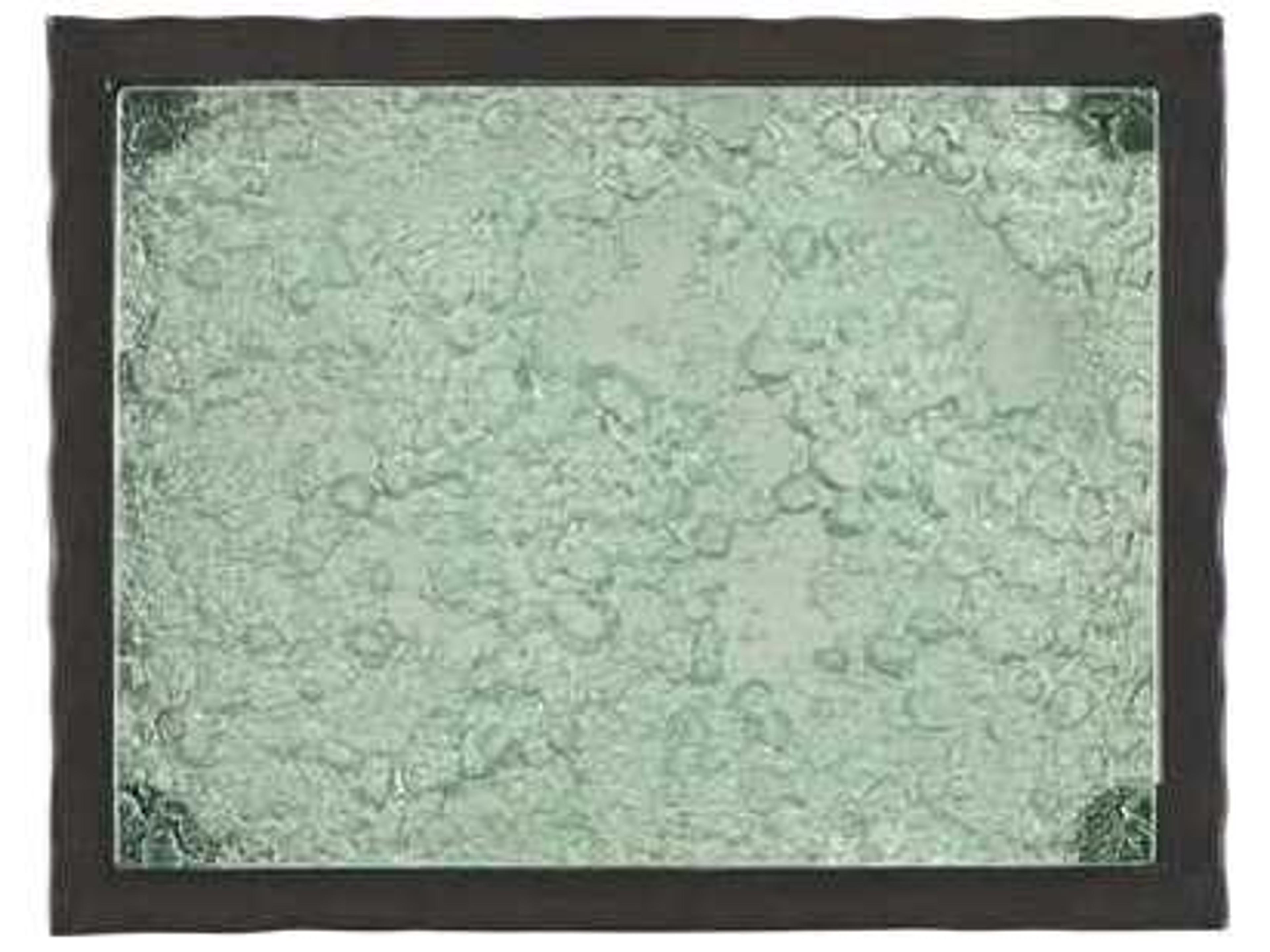 Tommy Bahama Island Fusion Hermes Reef Rectangular End Table