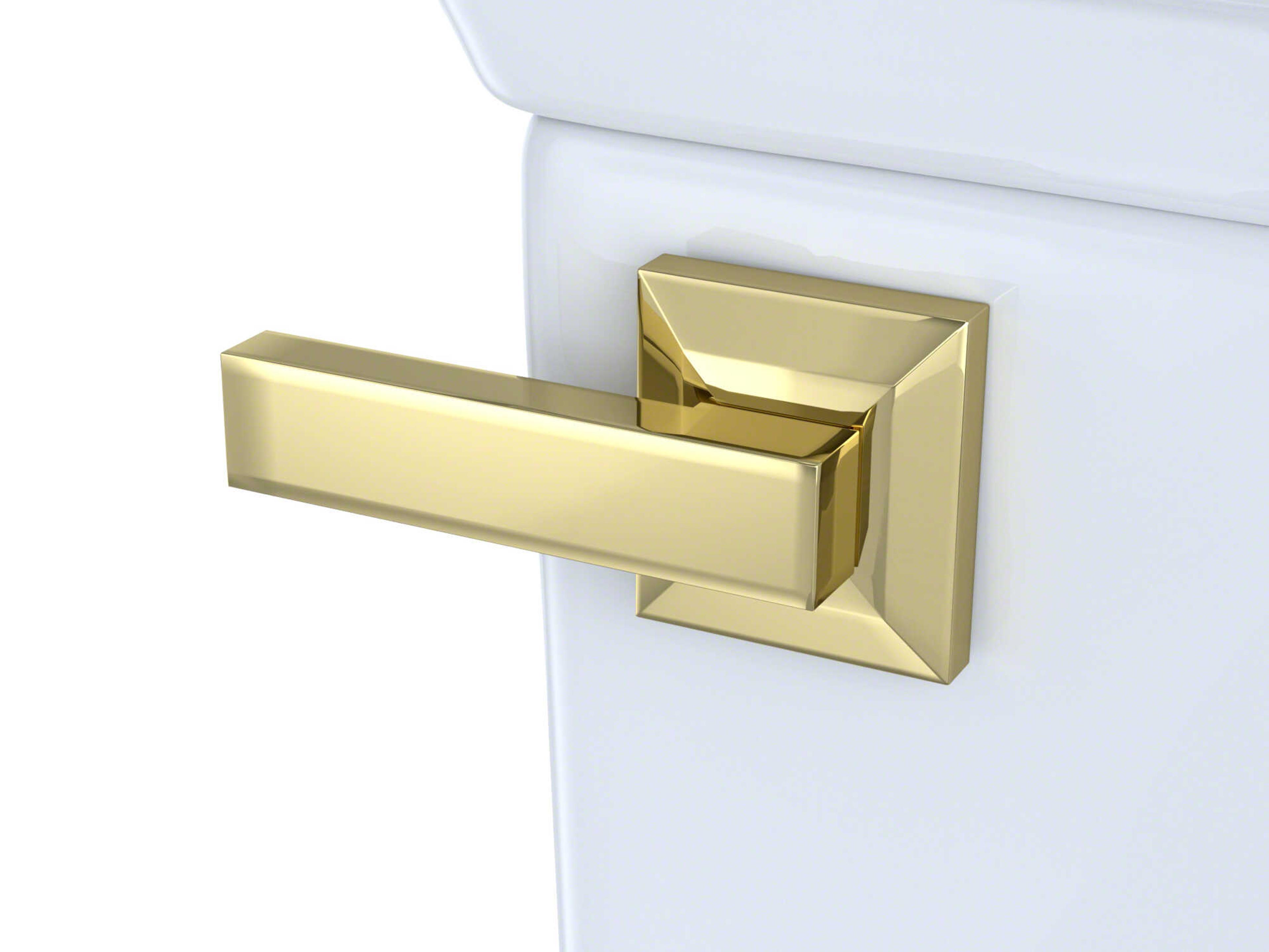 Polished Brass Trip Lever