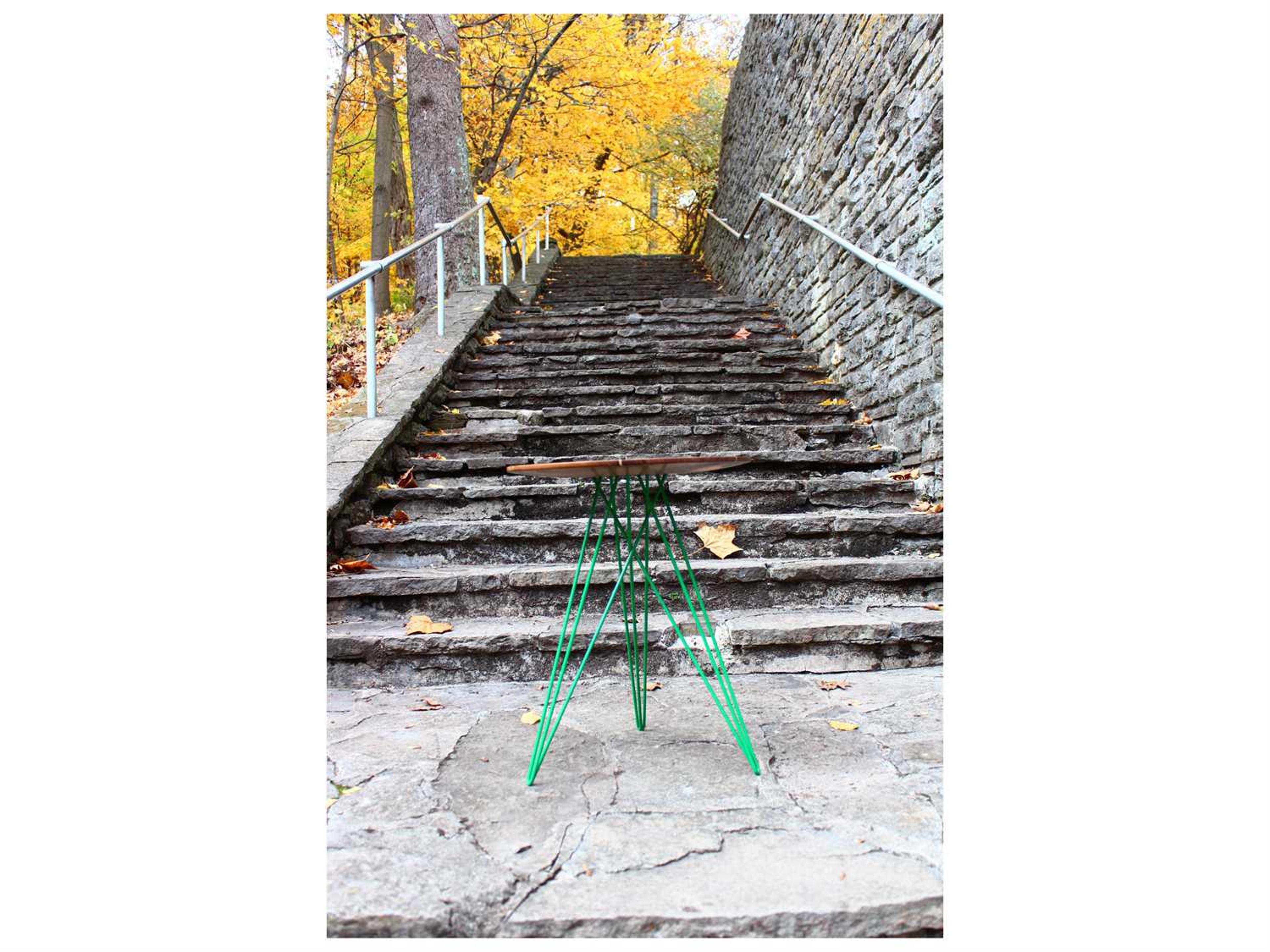 Tronk Design Hudson Round Wood End Table