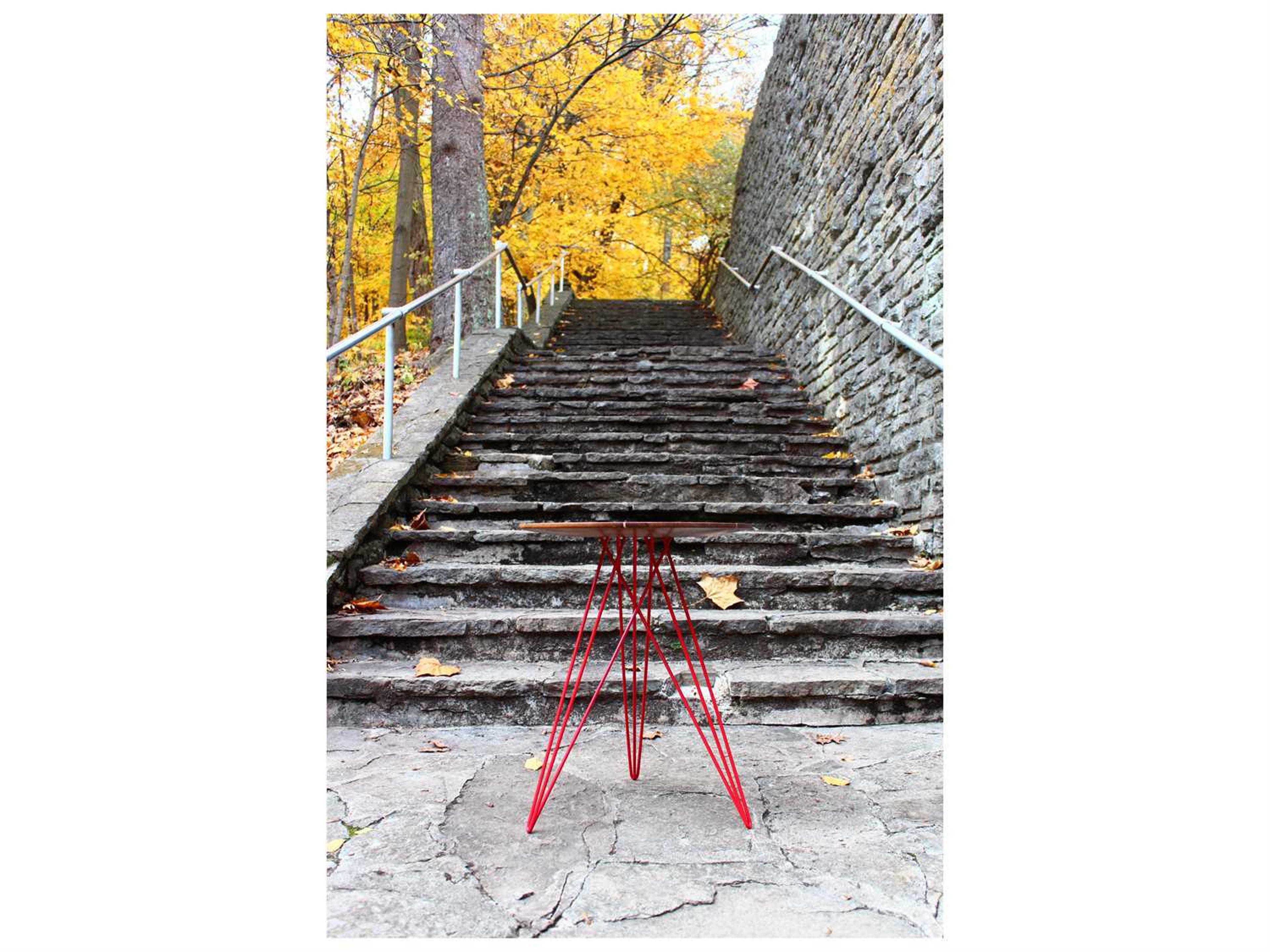 Tronk Design Hudson Round Wood End Table