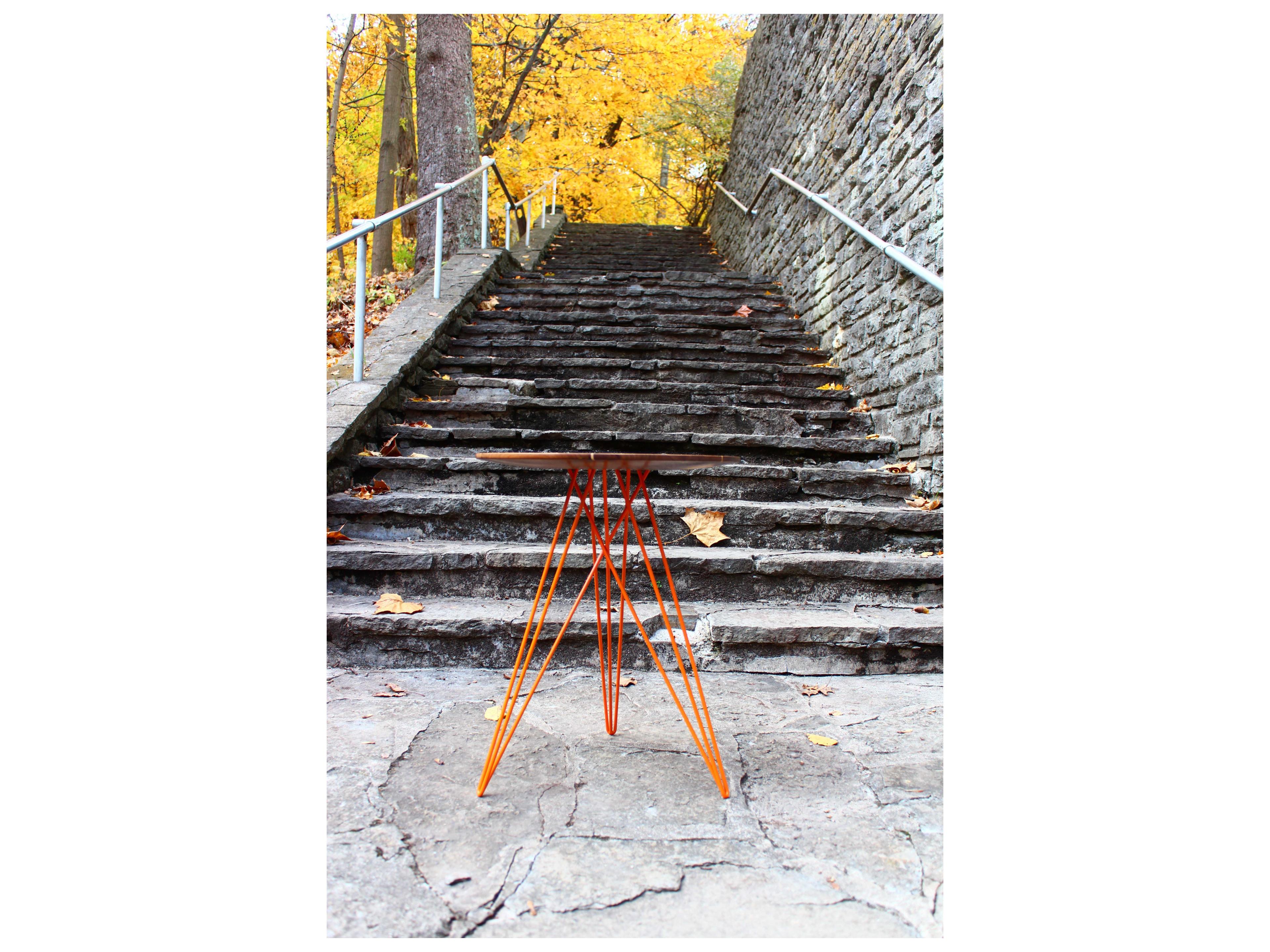 Tronk Design Hudson Round Wood End Table