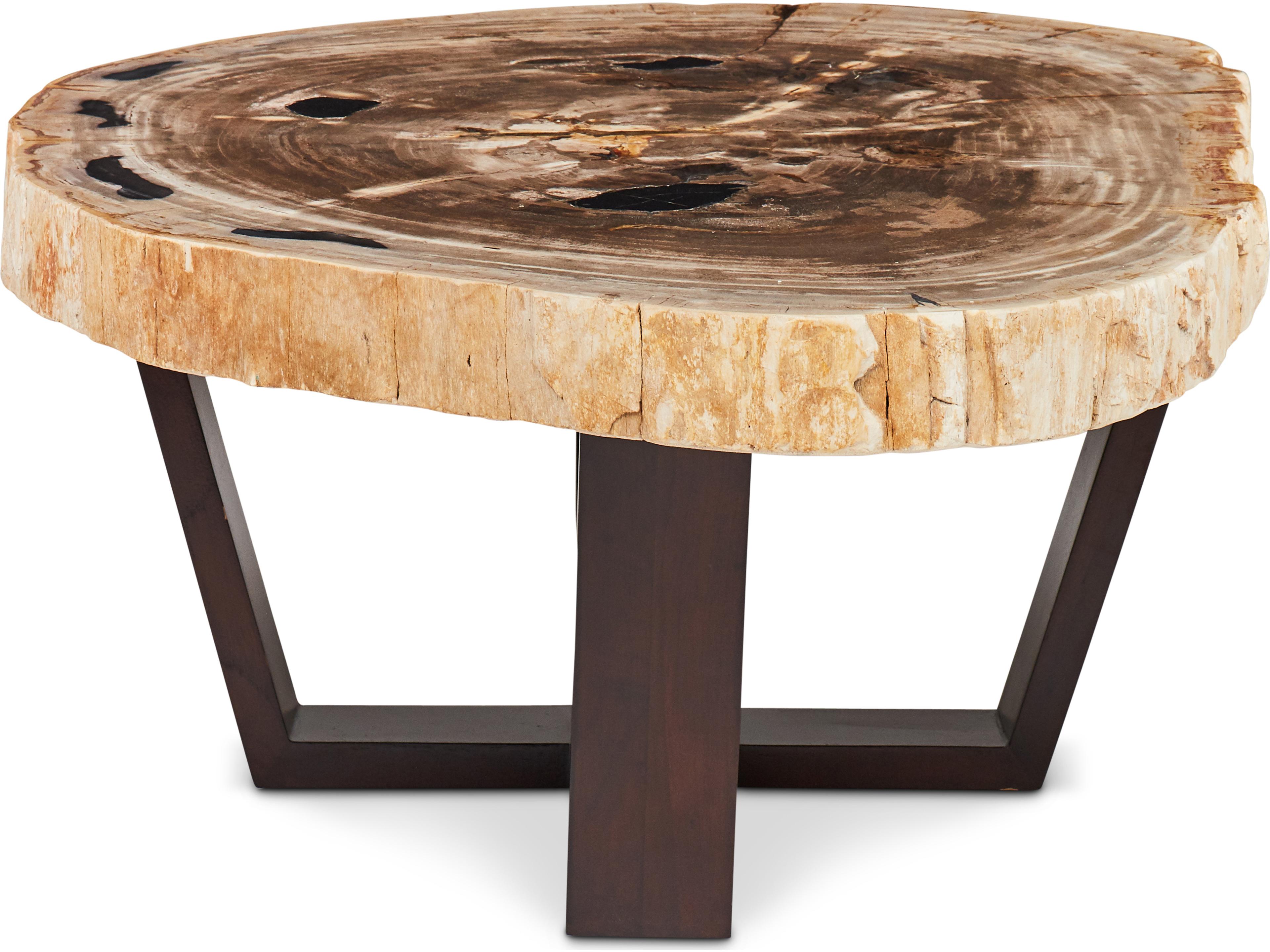 Valerie Coffee Table with Petrified Wood Top