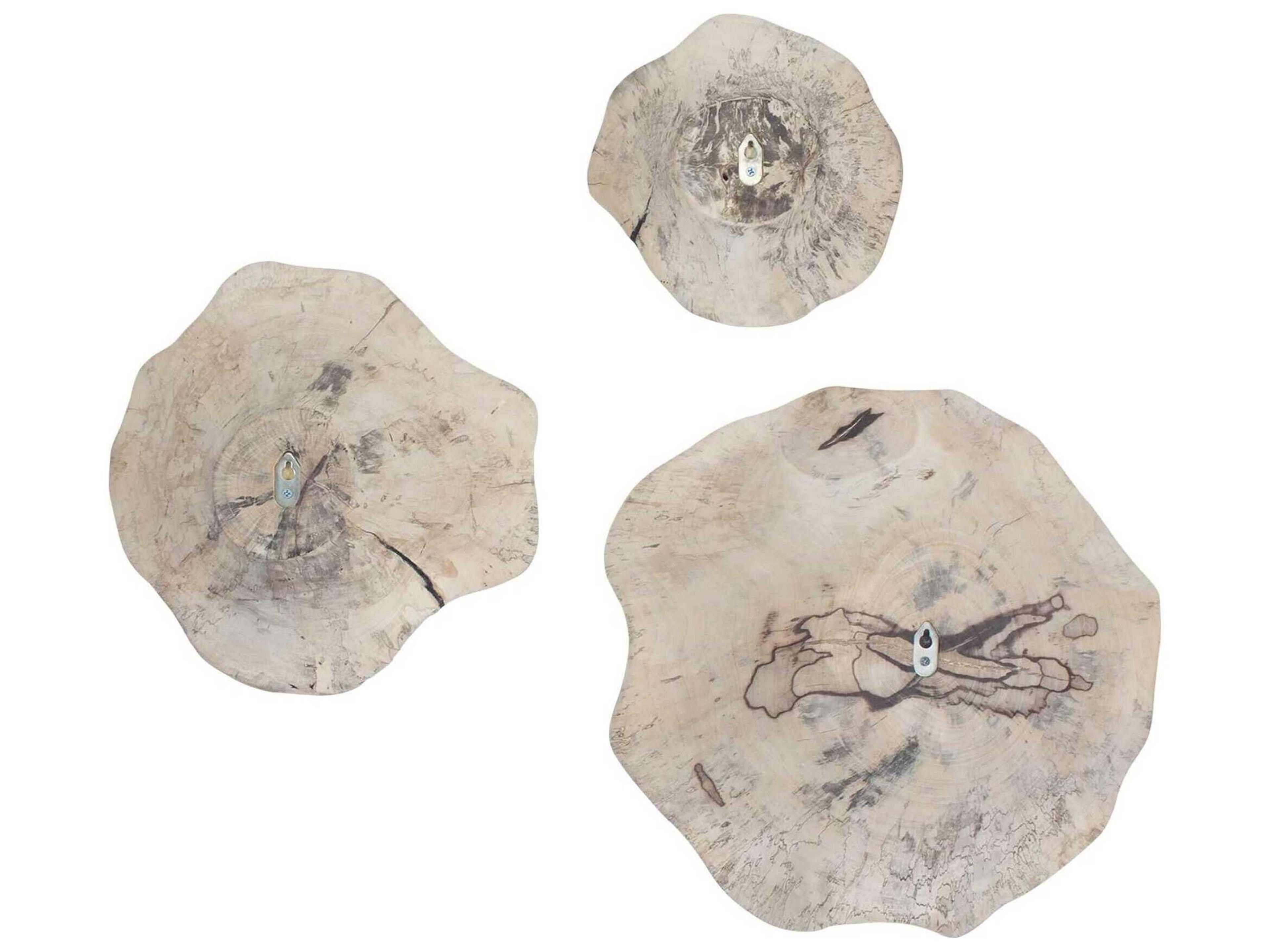 Uttermost Teo Bleached Wood Wall Decor Set of 3