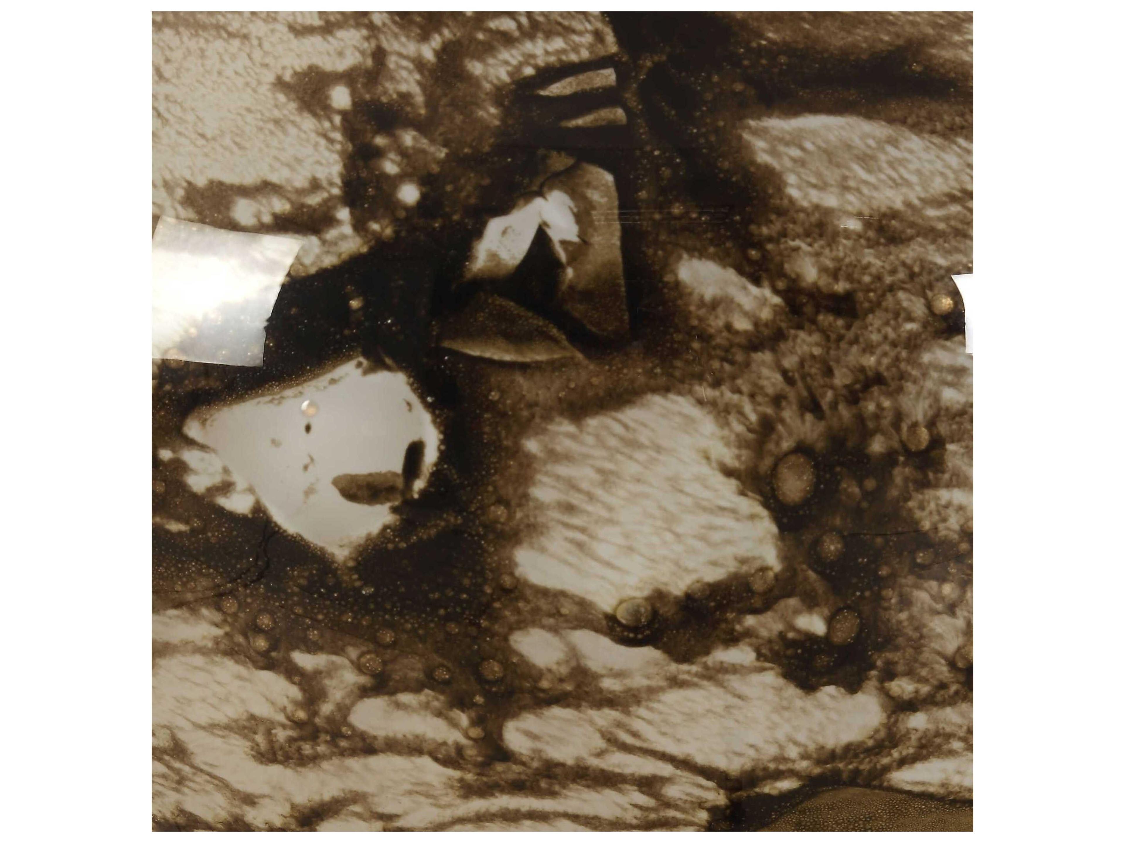 Uttermost Montagu Dark Brown Round Tapered Hardback Table Lamp