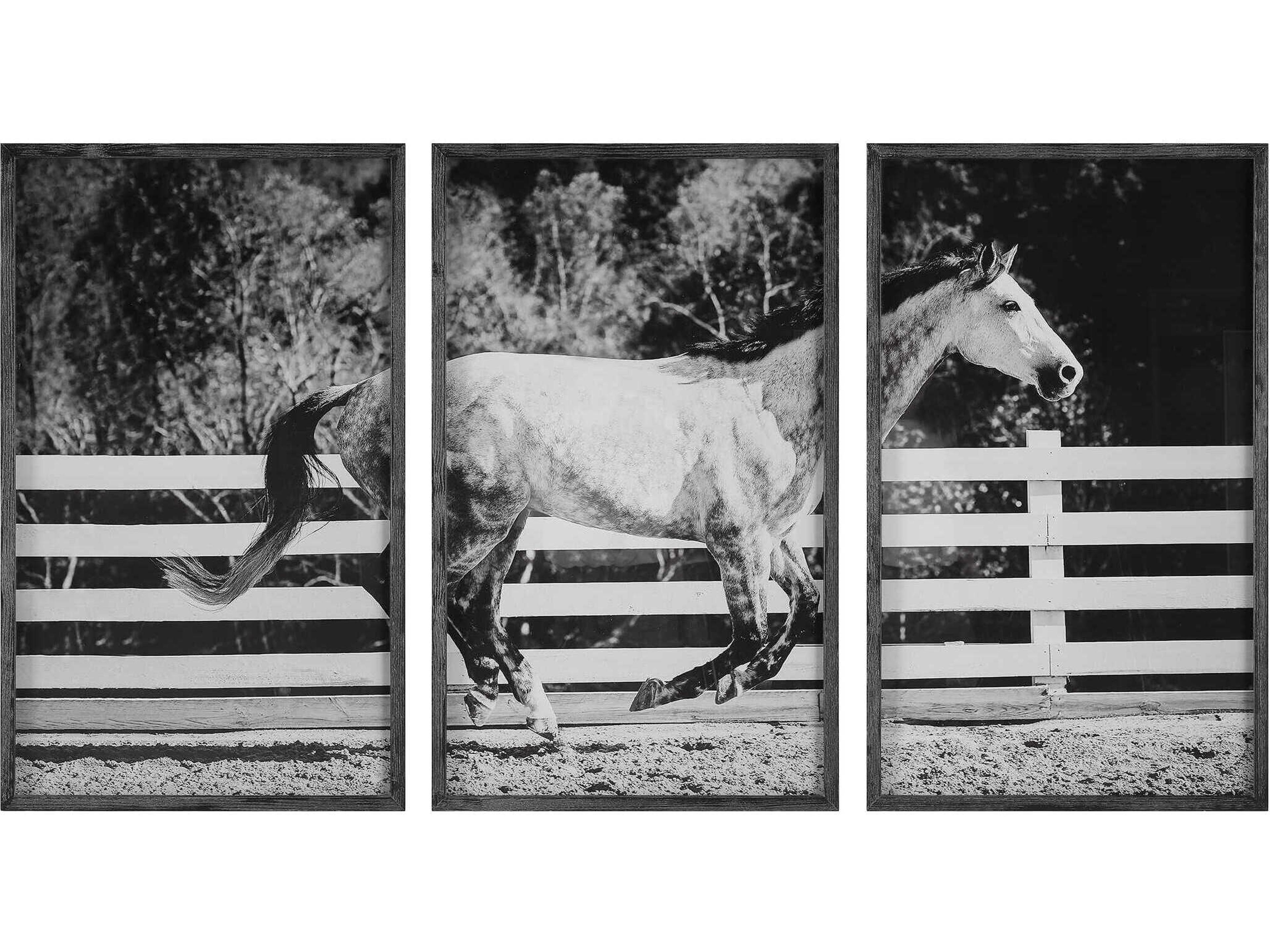Galloping Forward Equine Printed Wall Art Set of 3