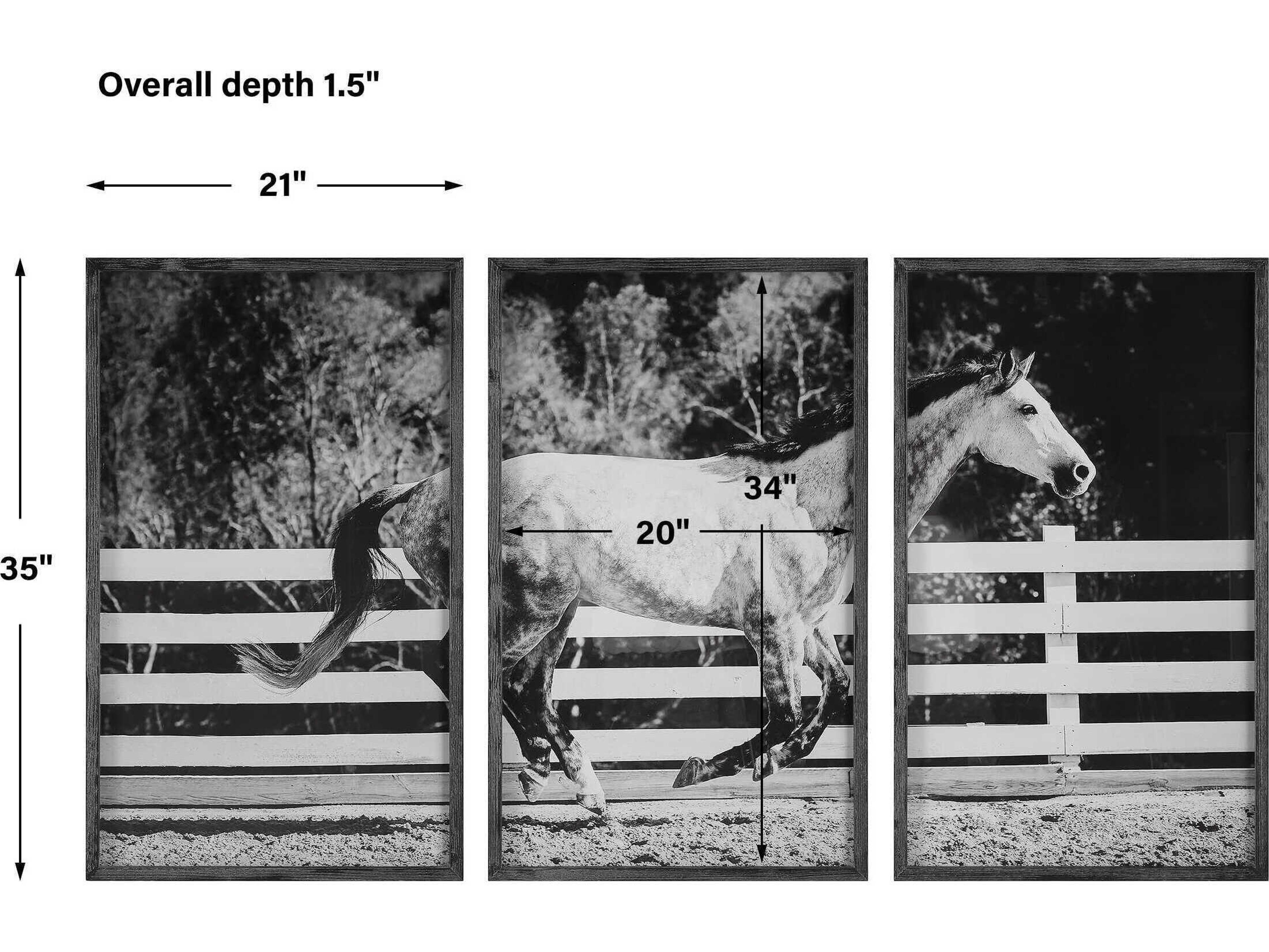 Uttermost Galloping Forward Equine Printed Wall Art Set of 3