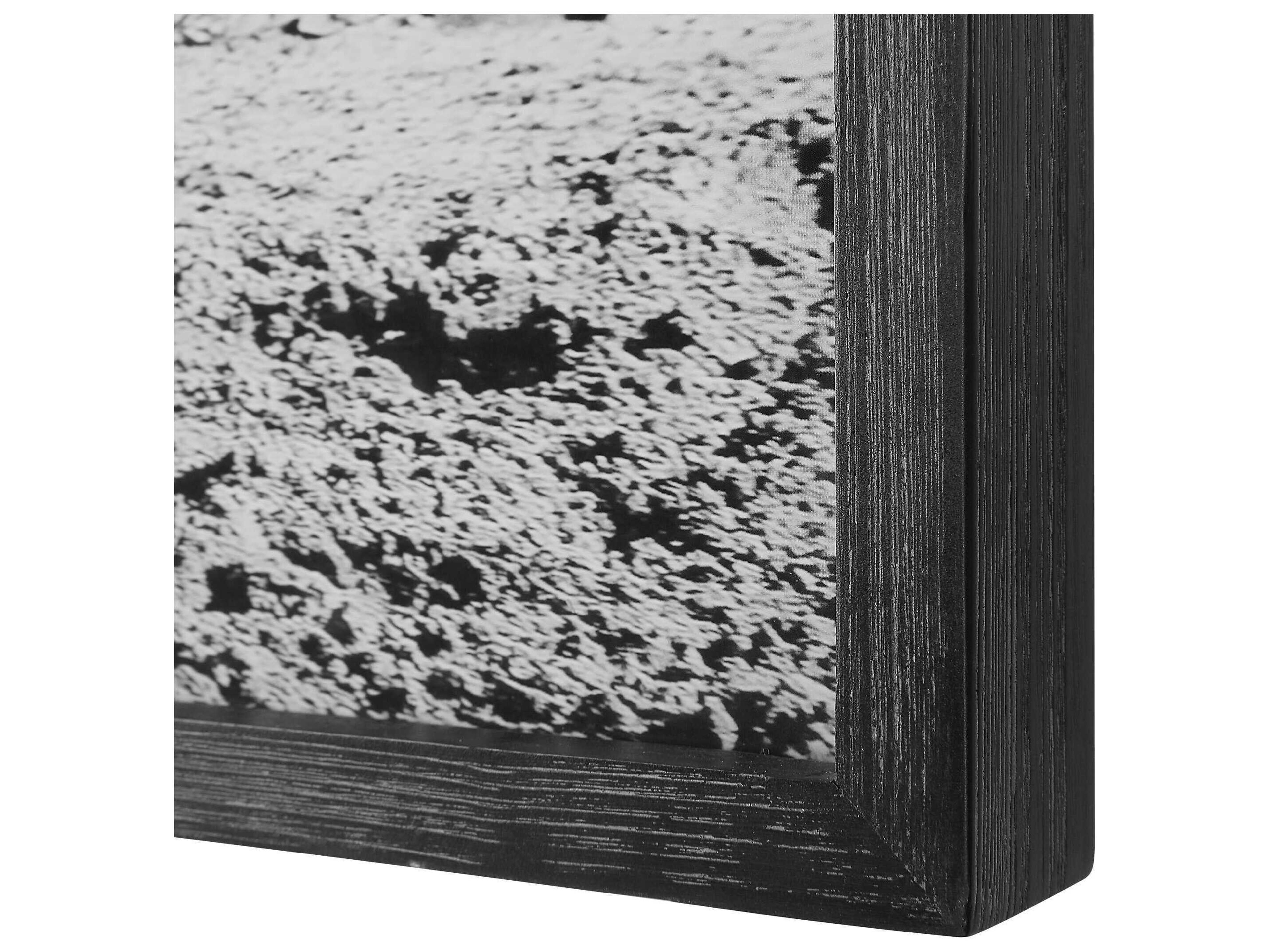 Uttermost Galloping Forward Equine Printed Wall Art Set of 3