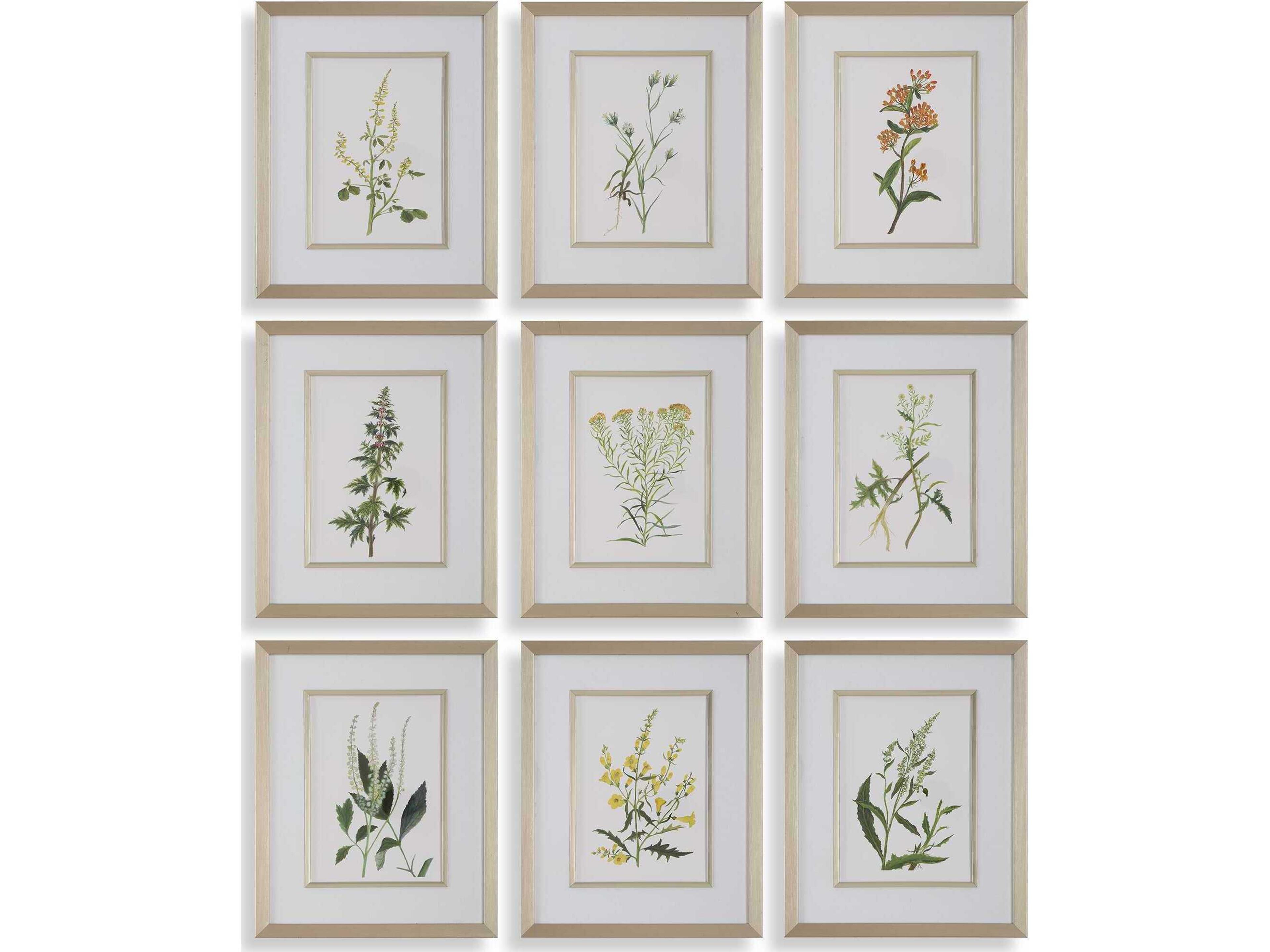 Botanical Flowers Framed Prints Set of 9