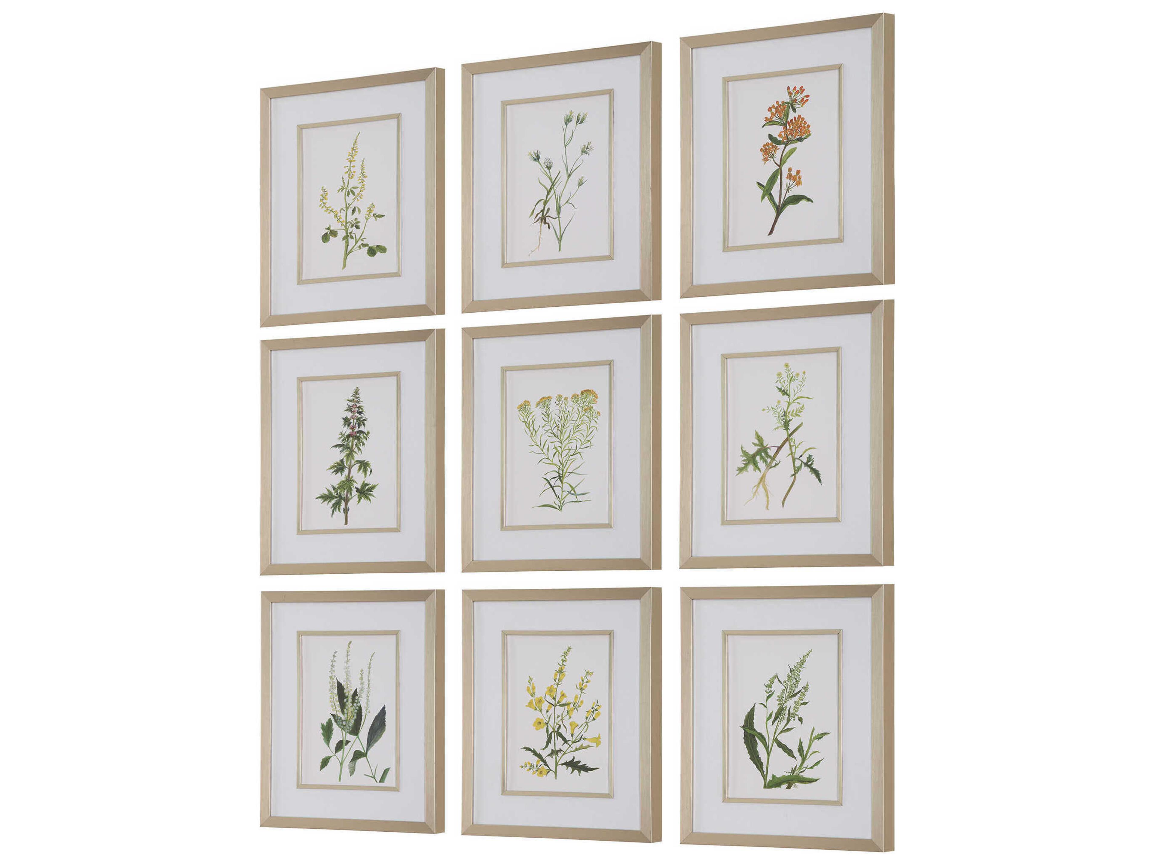 Uttermost Botanical Flowers Framed Prints Set of 9
