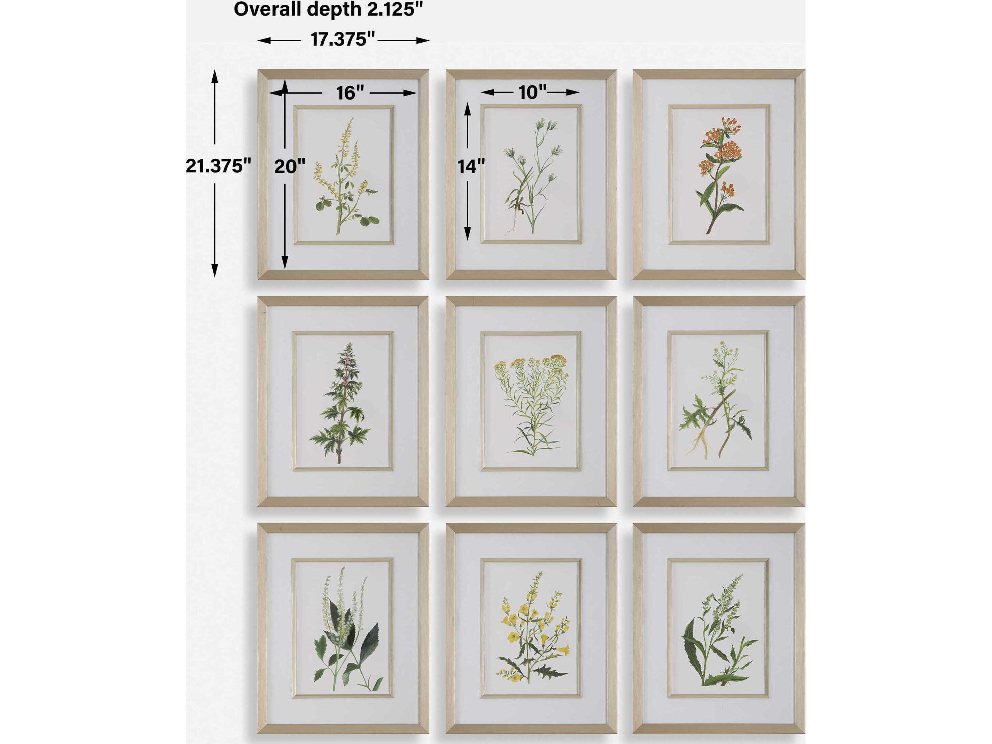 Uttermost Botanical Flowers Framed Prints Set of 9
