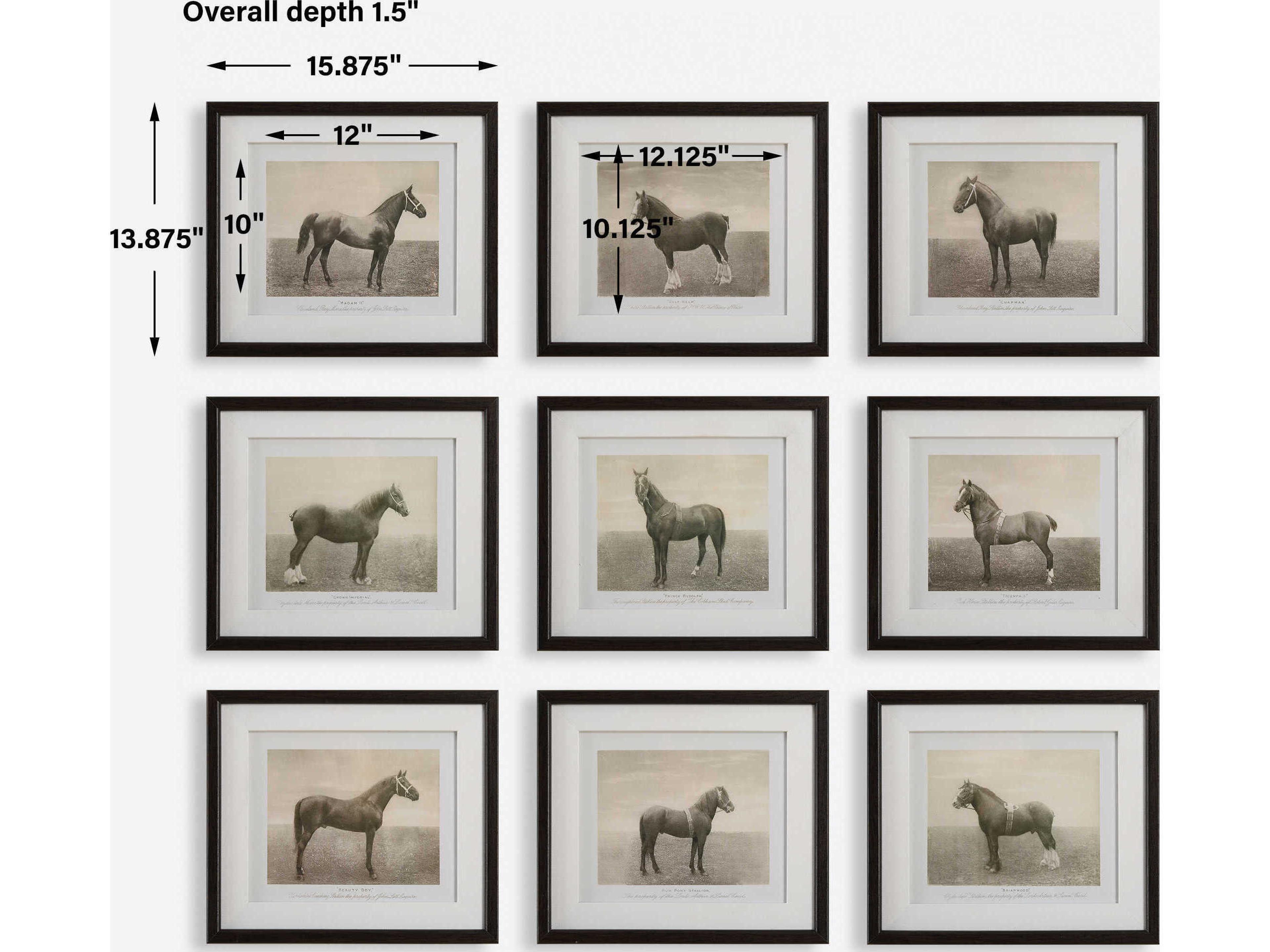 Uttermost Equine Dynasty Framed Prints Set of 9